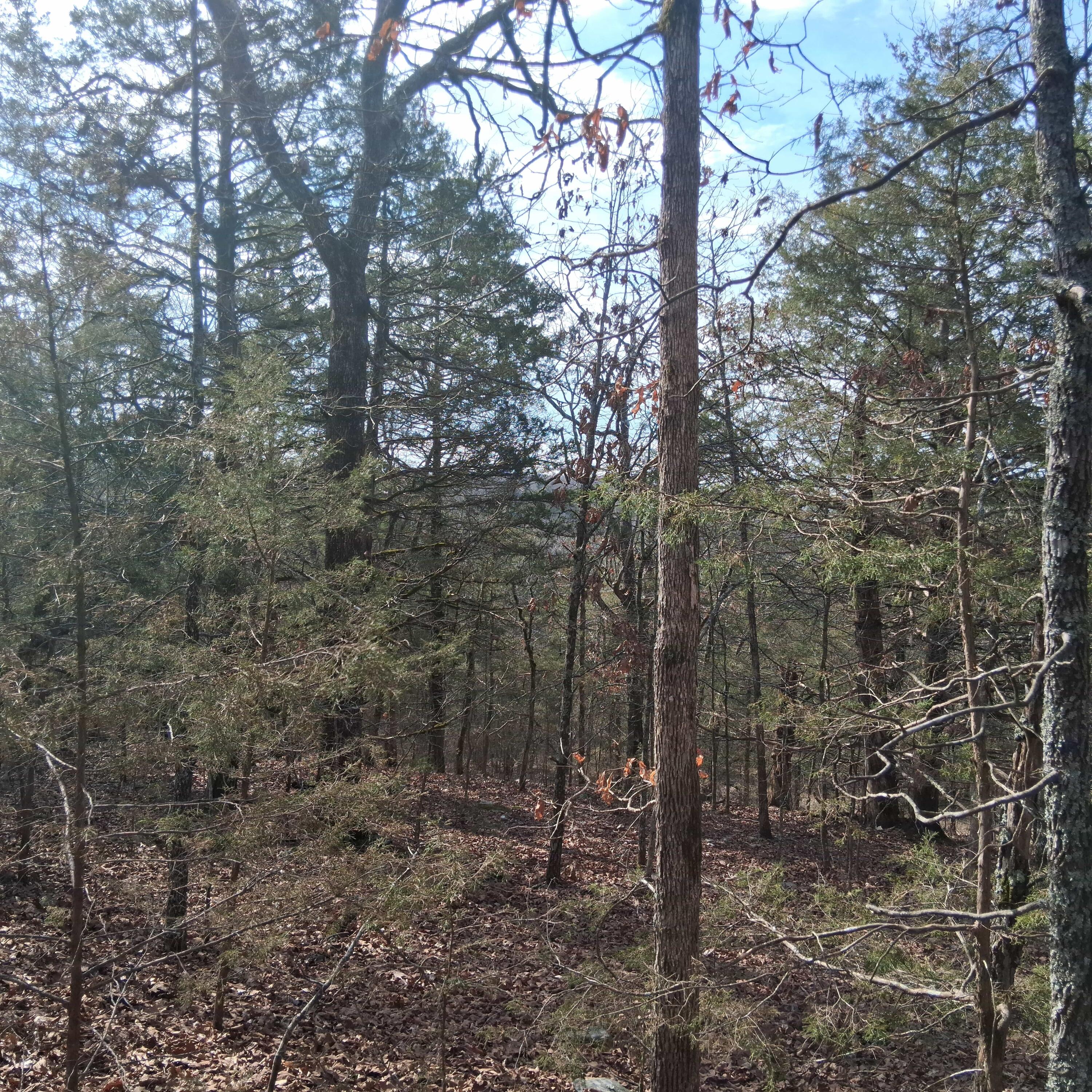 000 Greers Ferry Road Property Photo 25