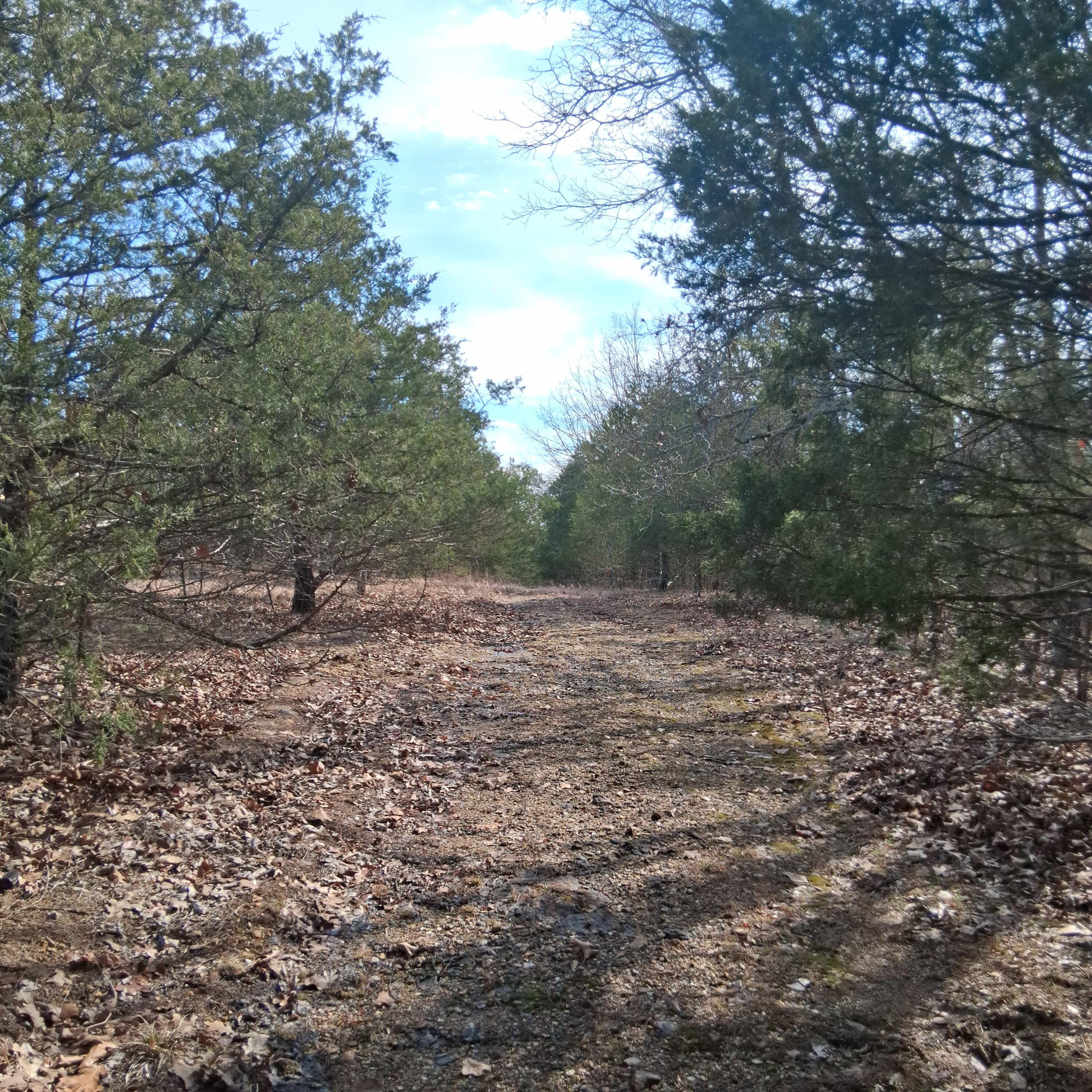 000 Greers Ferry Road Property Photo 27