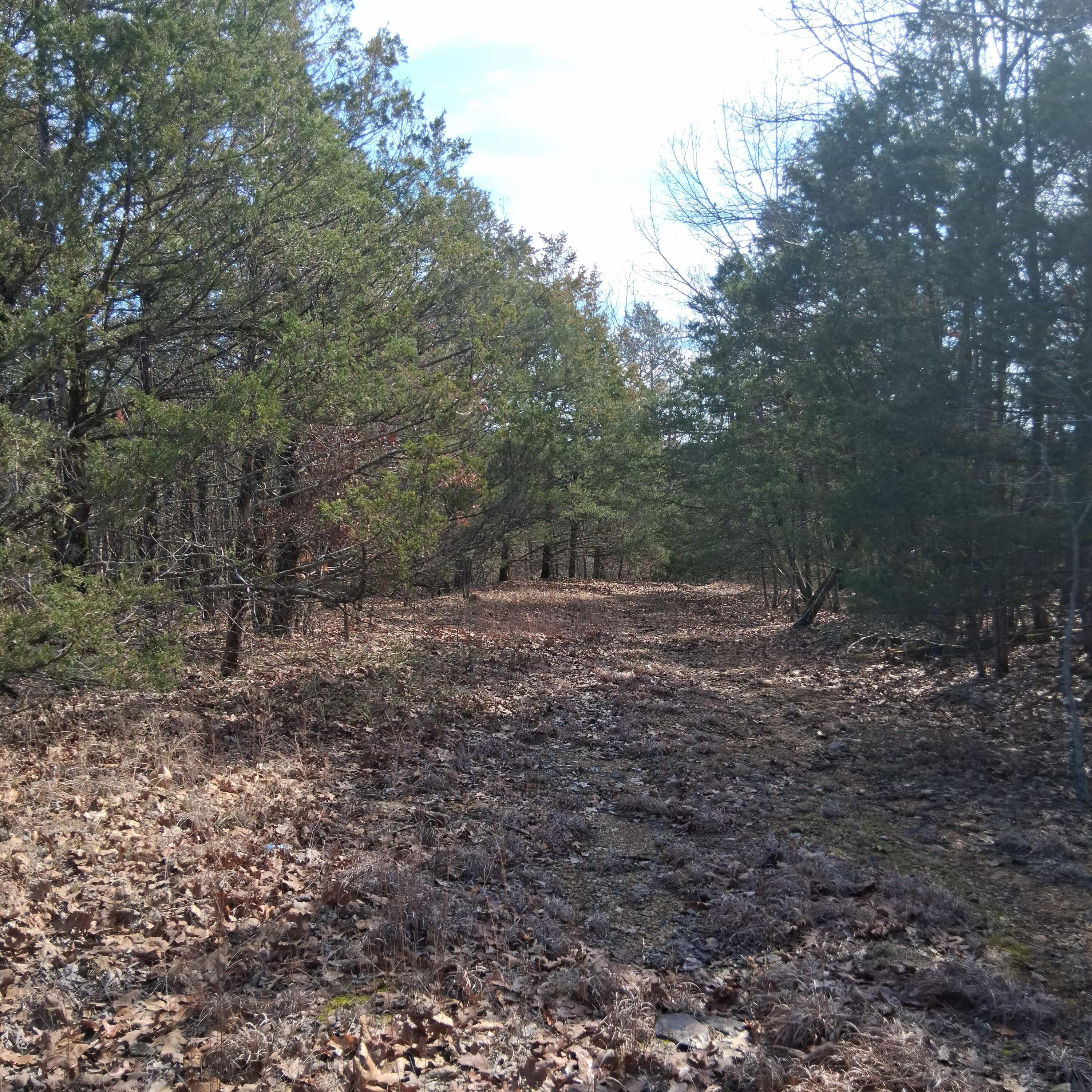 000 Greers Ferry Road Property Photo 28