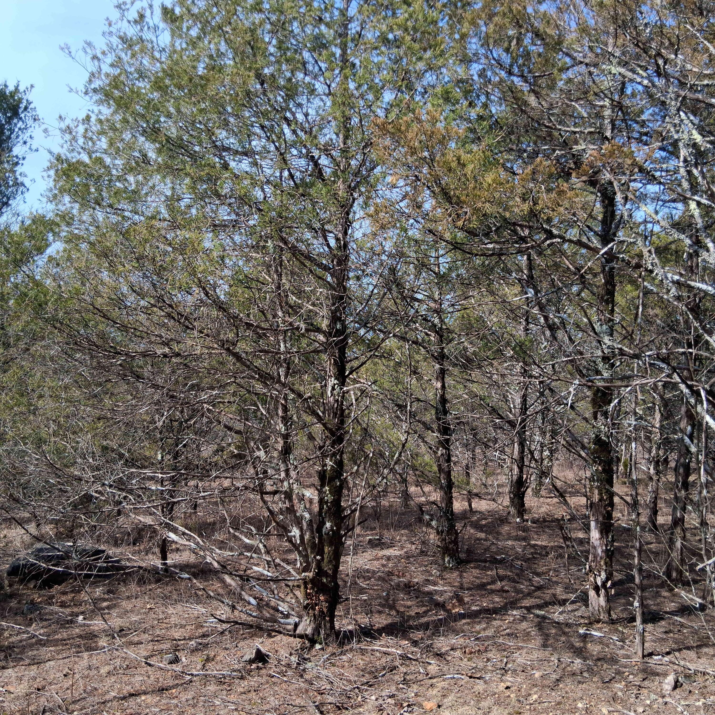 000 Greers Ferry Road Property Photo 31