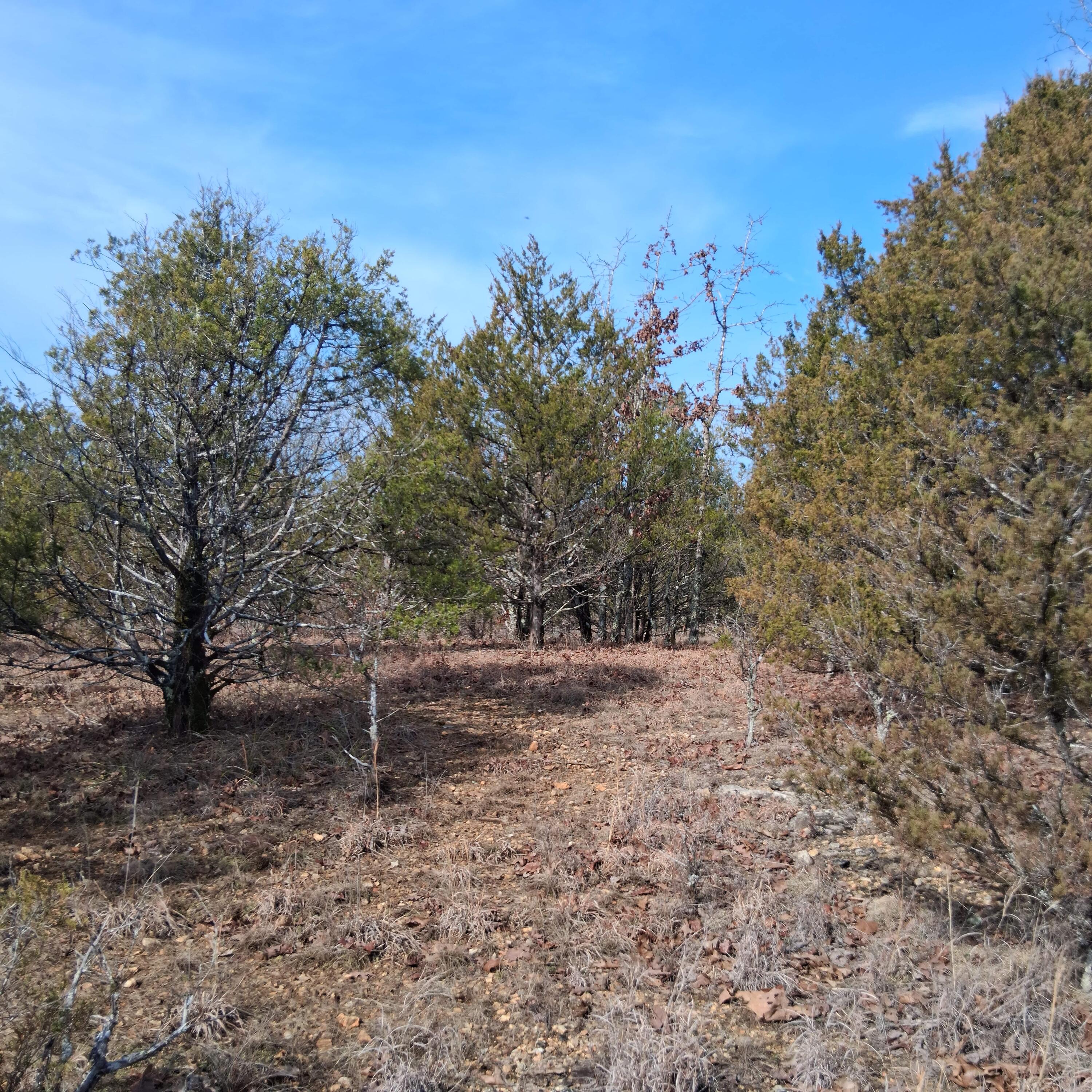 Lts 285 Thru 288 Greers Ferry Road Property Photo 3