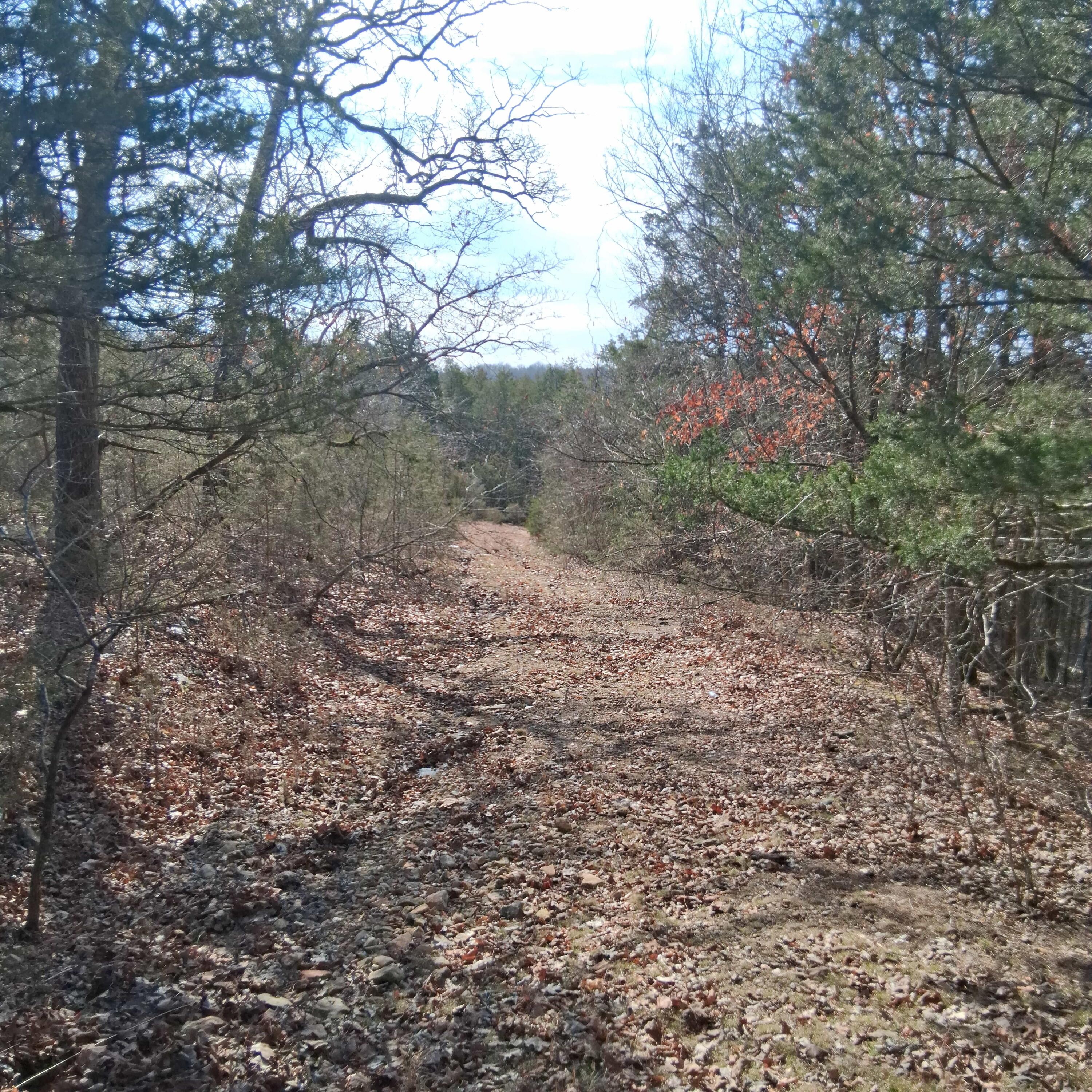 Lts 285 Thru 288 Greers Ferry Road Property Photo 8