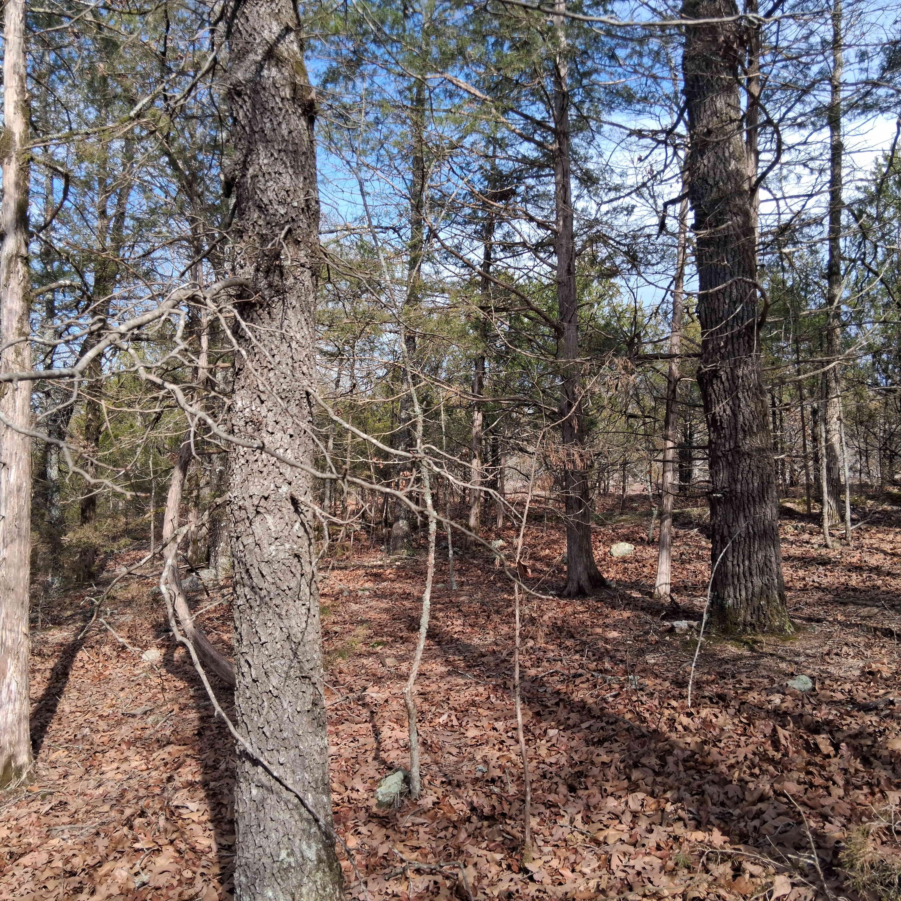 Lts 285 Thru 288 Greers Ferry Road Property Photo 9