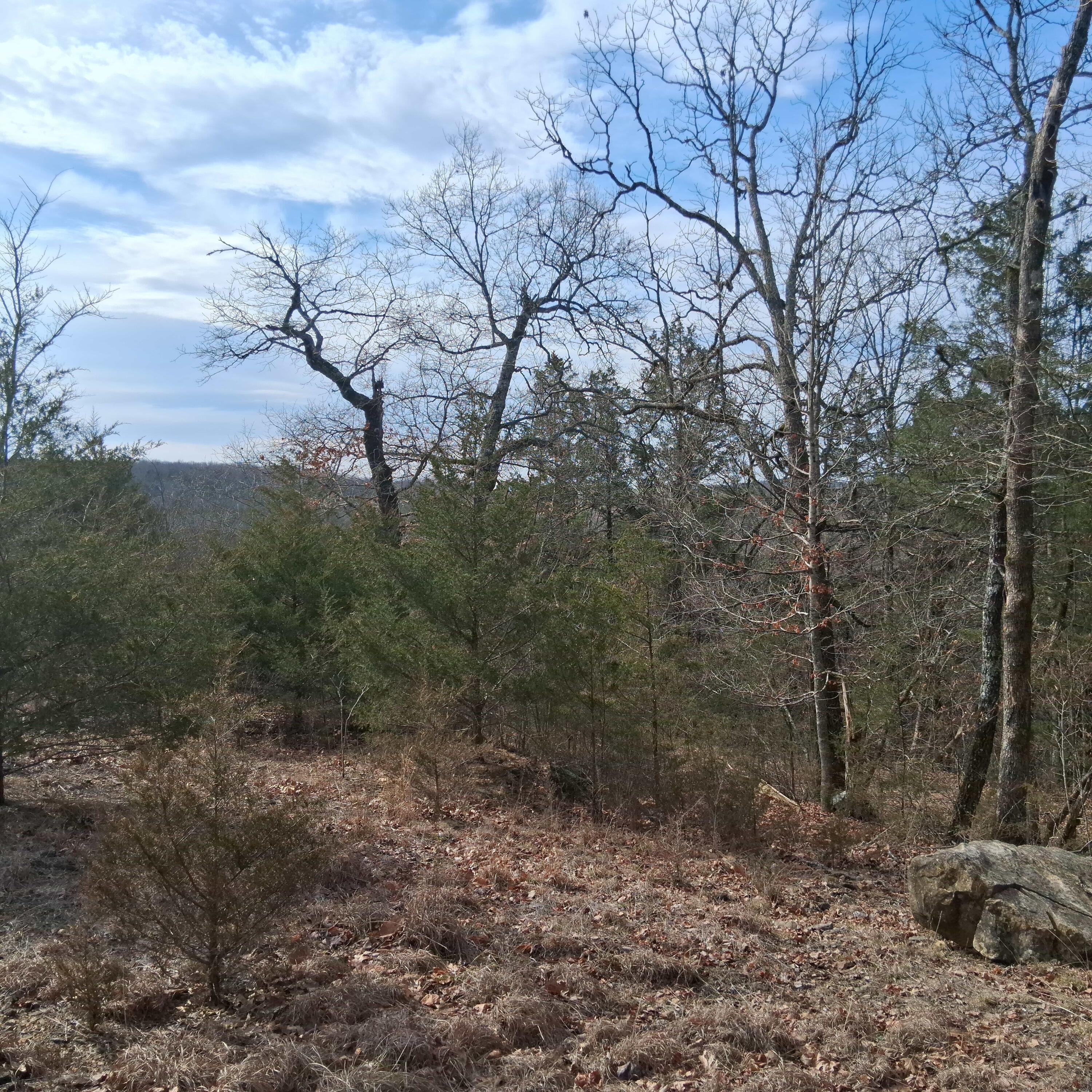 Lot 301 Greers Ferry Road Property Photo 6