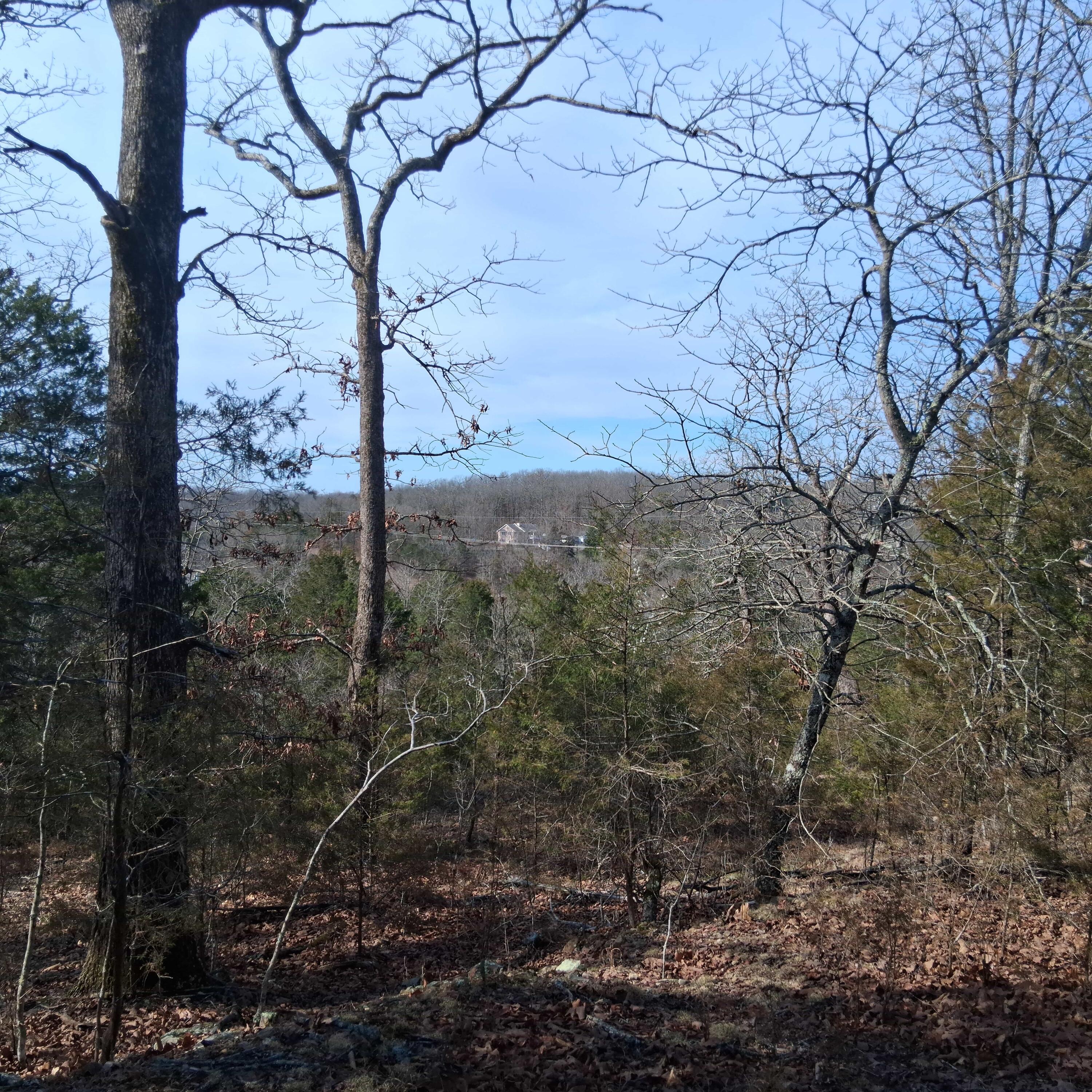 Lots 302 & 303 Greers Ferry Road Property Photo 2
