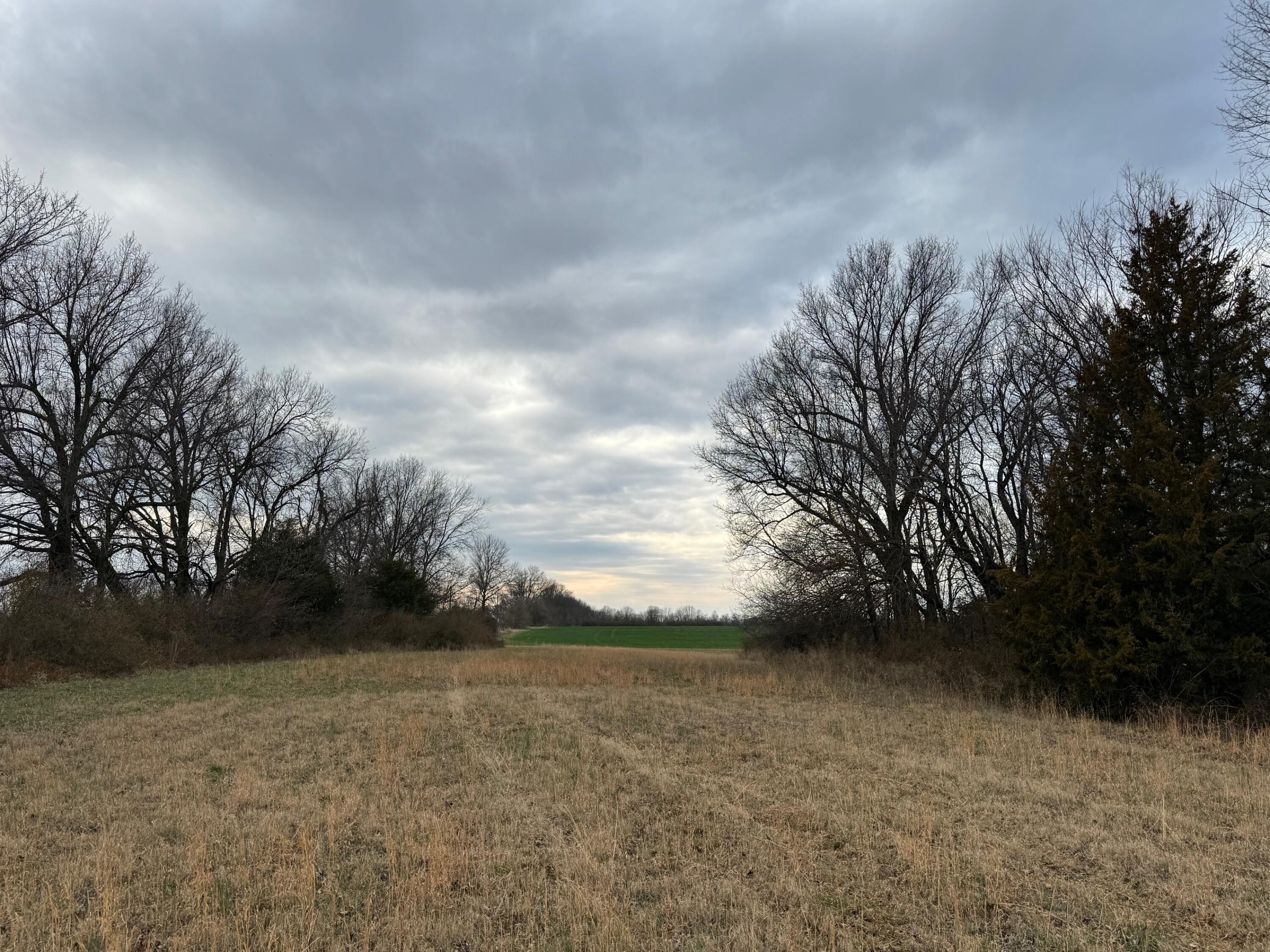 Tbd County Road 270 Property Photo 2