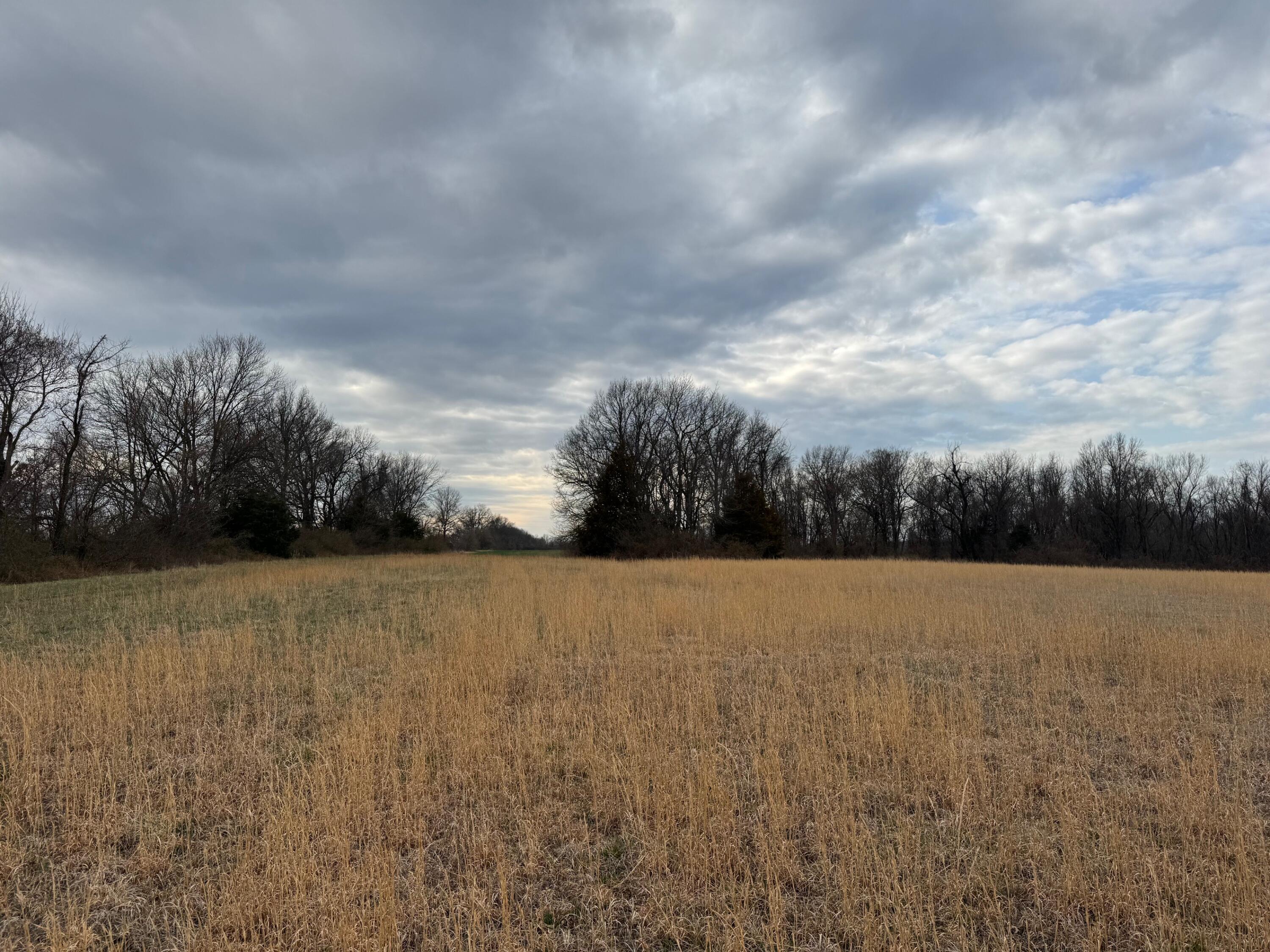 Tbd County Road 270 Property Photo 3