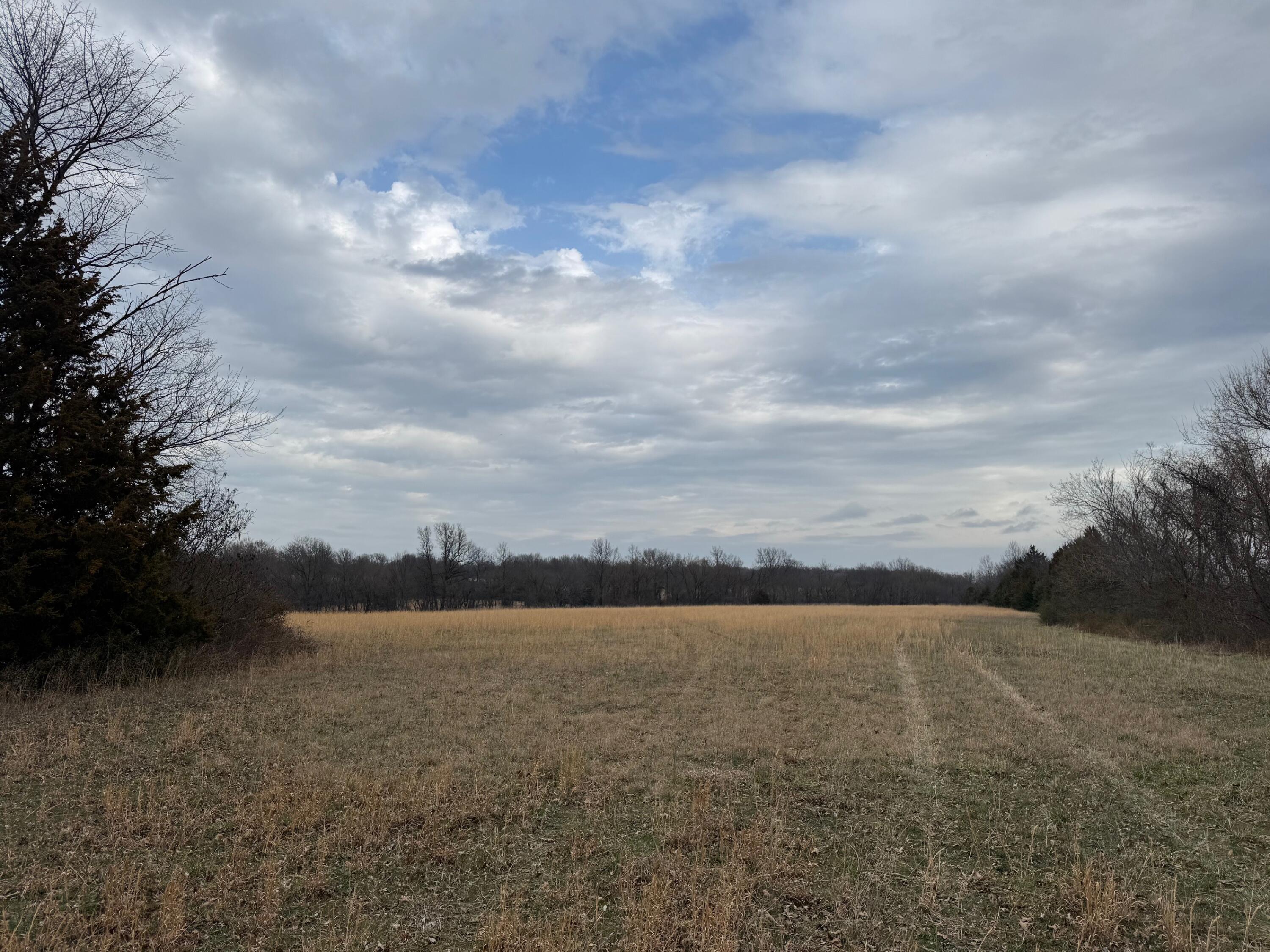 Tbd County Road 270 Property Photo 4
