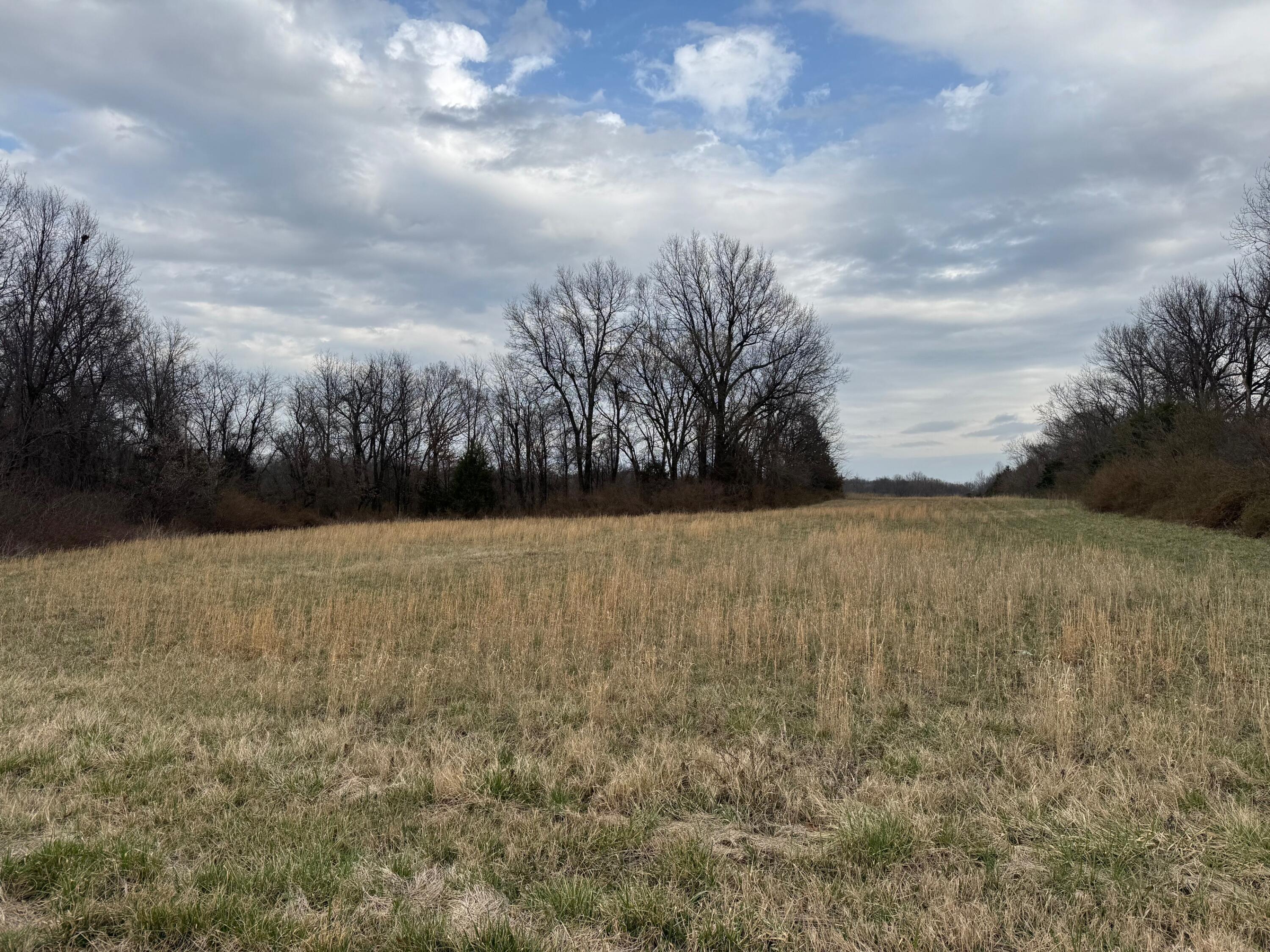 Tbd County Road 270 Property Photo 5