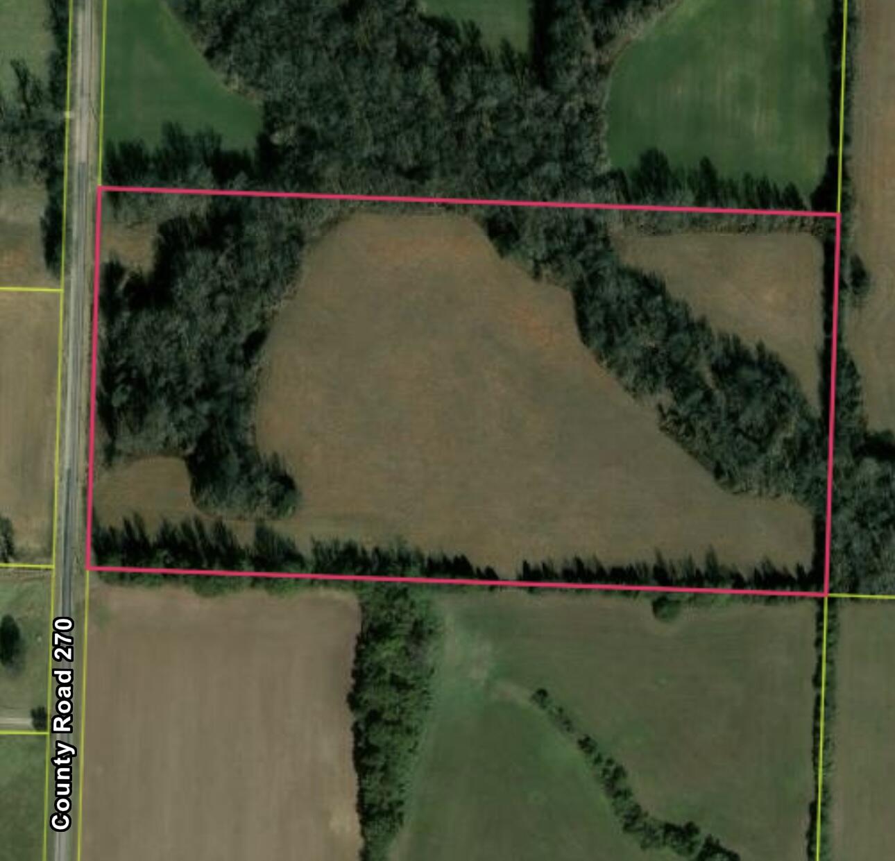Tbd County Road 270 Property Photo 6
