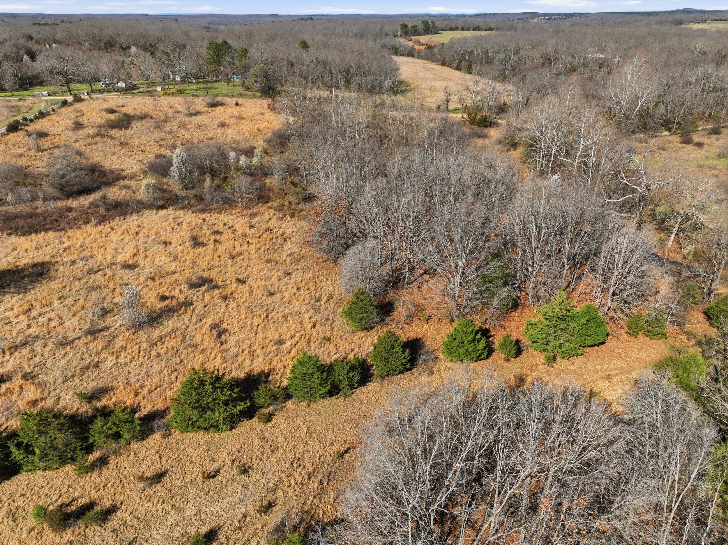 8008 County Road 5090 Property Photo 79