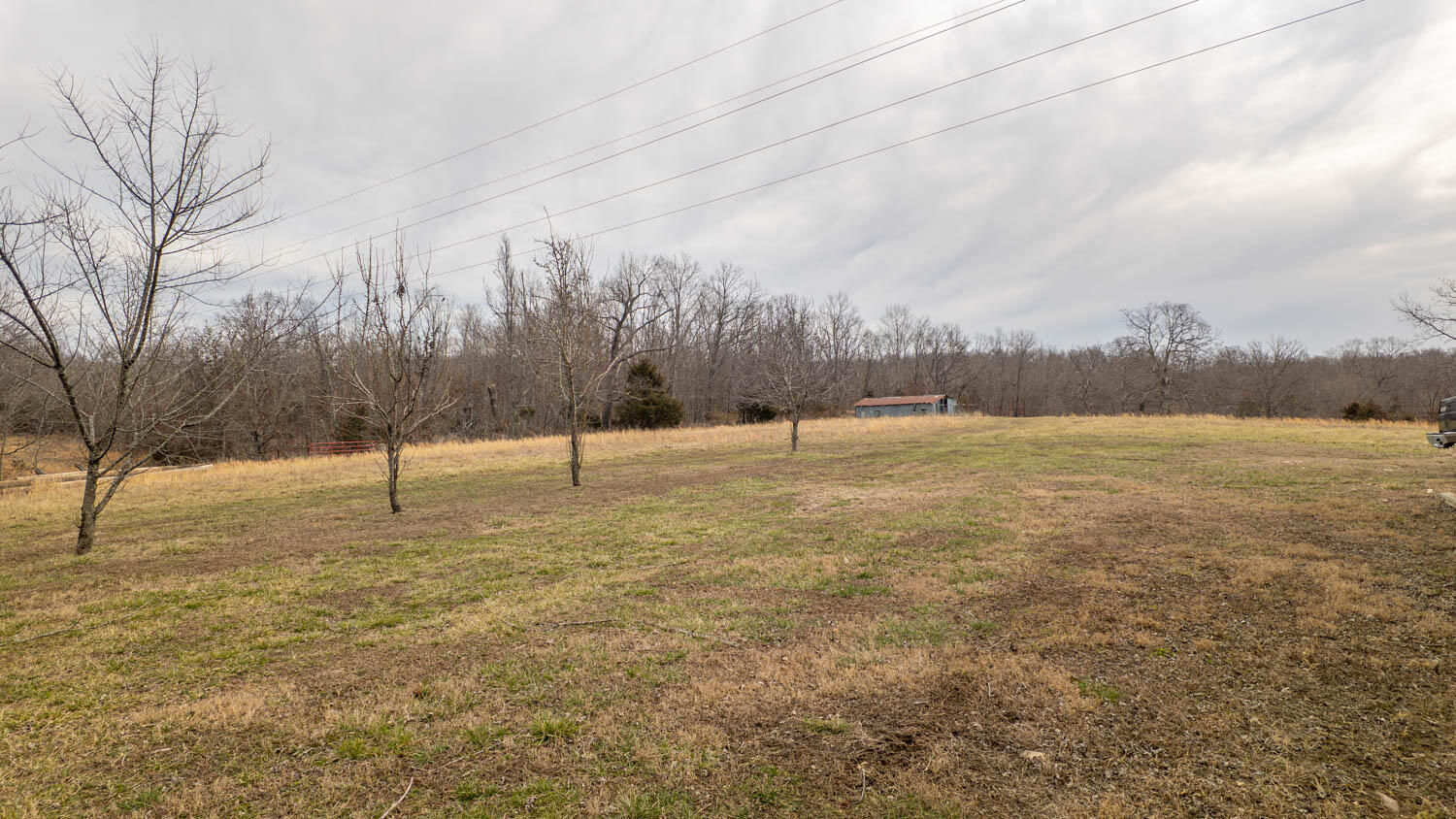 1502 County Road 1210 Property Photo 49