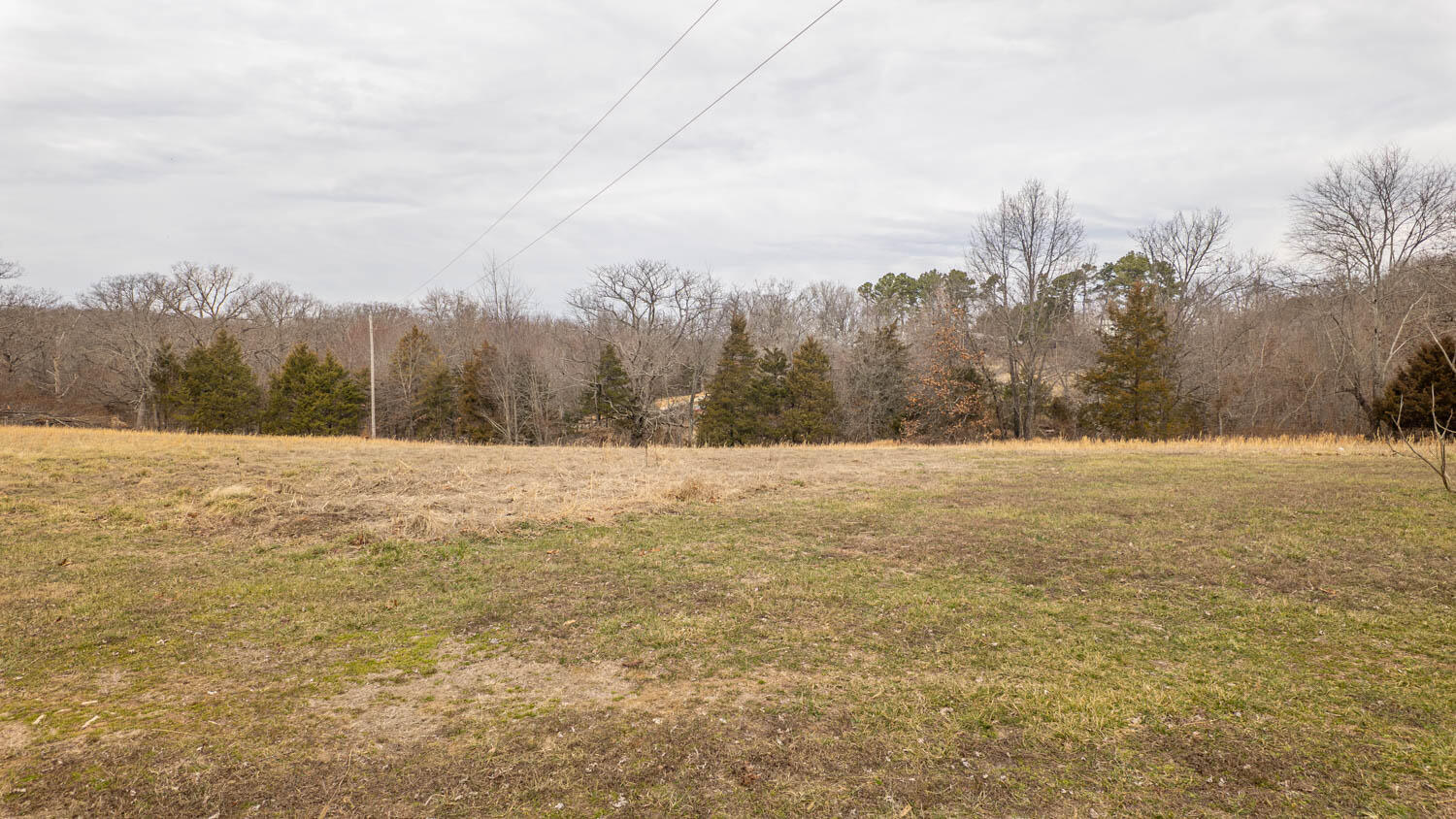 1502 County Road 1210 Property Photo 50