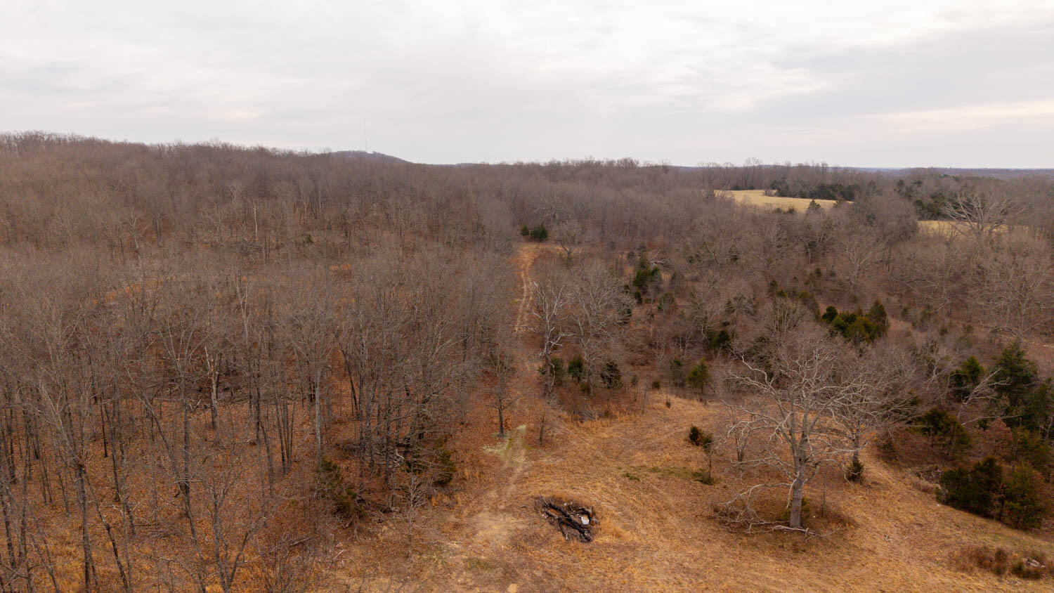 1502 County Road 1210 Property Photo 57