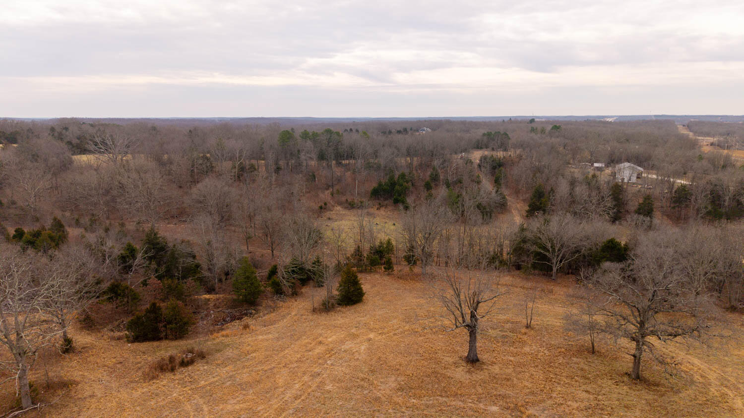 1502 County Road 1210 Property Photo 58