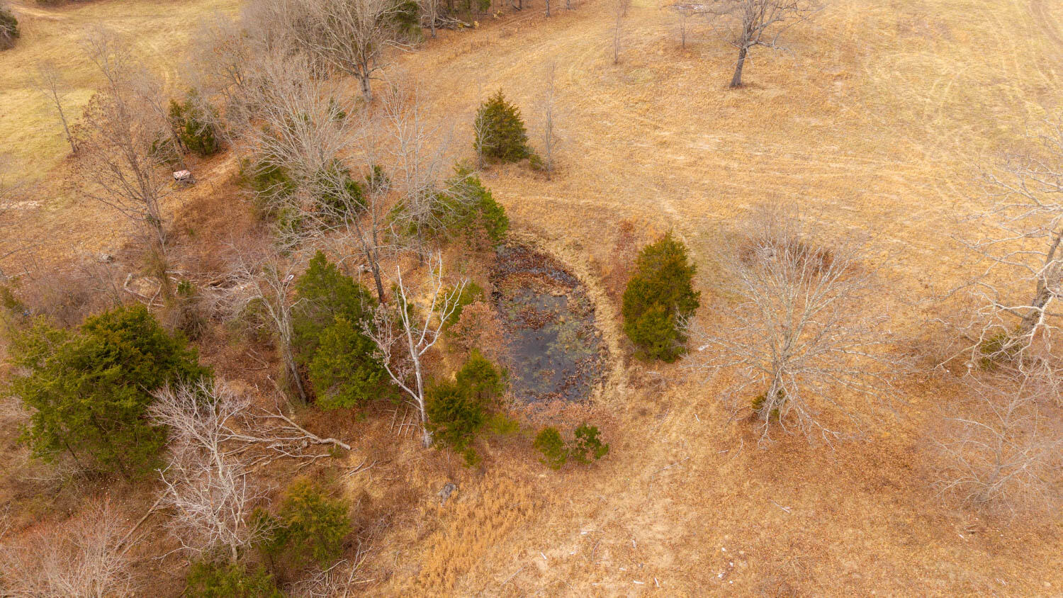 1502 County Road 1210 Property Photo 60