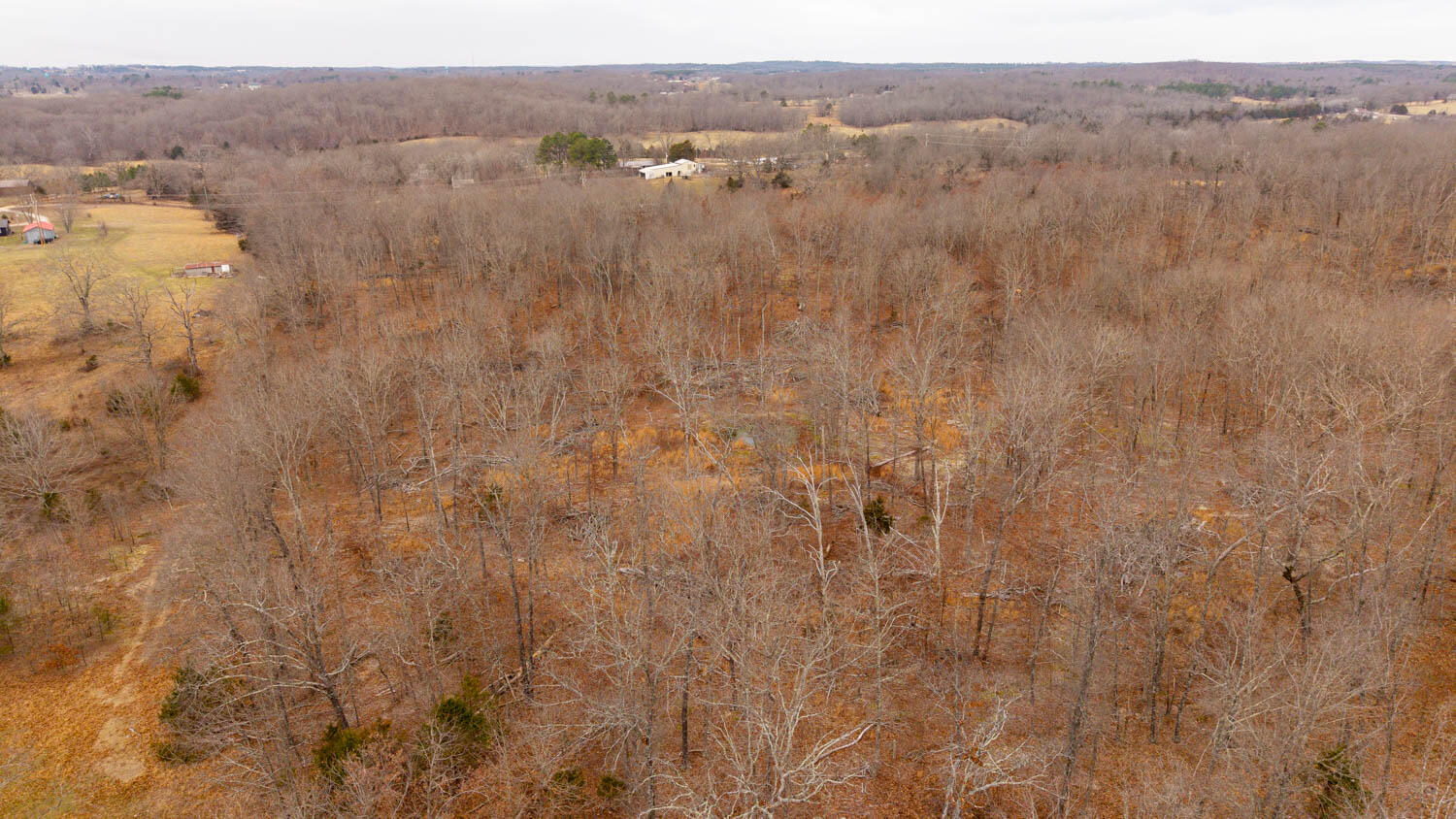 1502 County Road 1210 Property Photo 63
