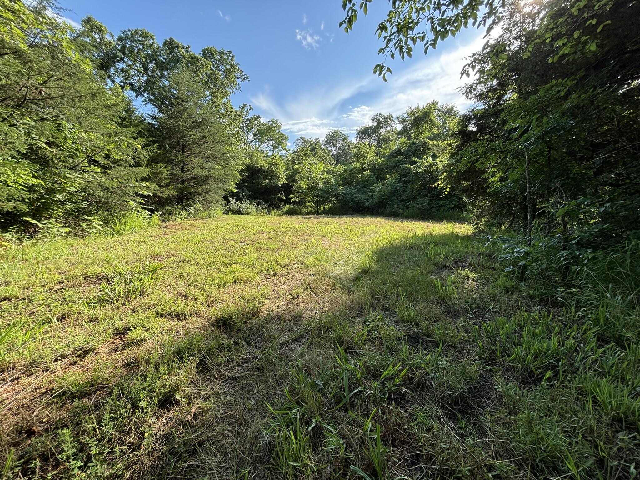 000 Private Drive County Road 803b Property Photo 6