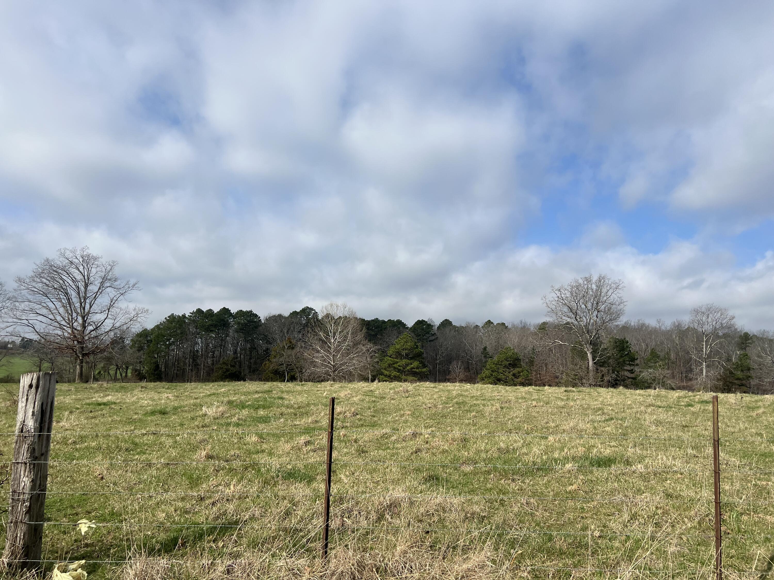 8103 County Road 455 Property Photo 5