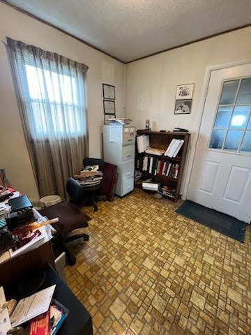 8103 County Road 455 Property Photo 46