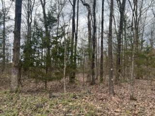 8103 County Road 455 Property Photo 53