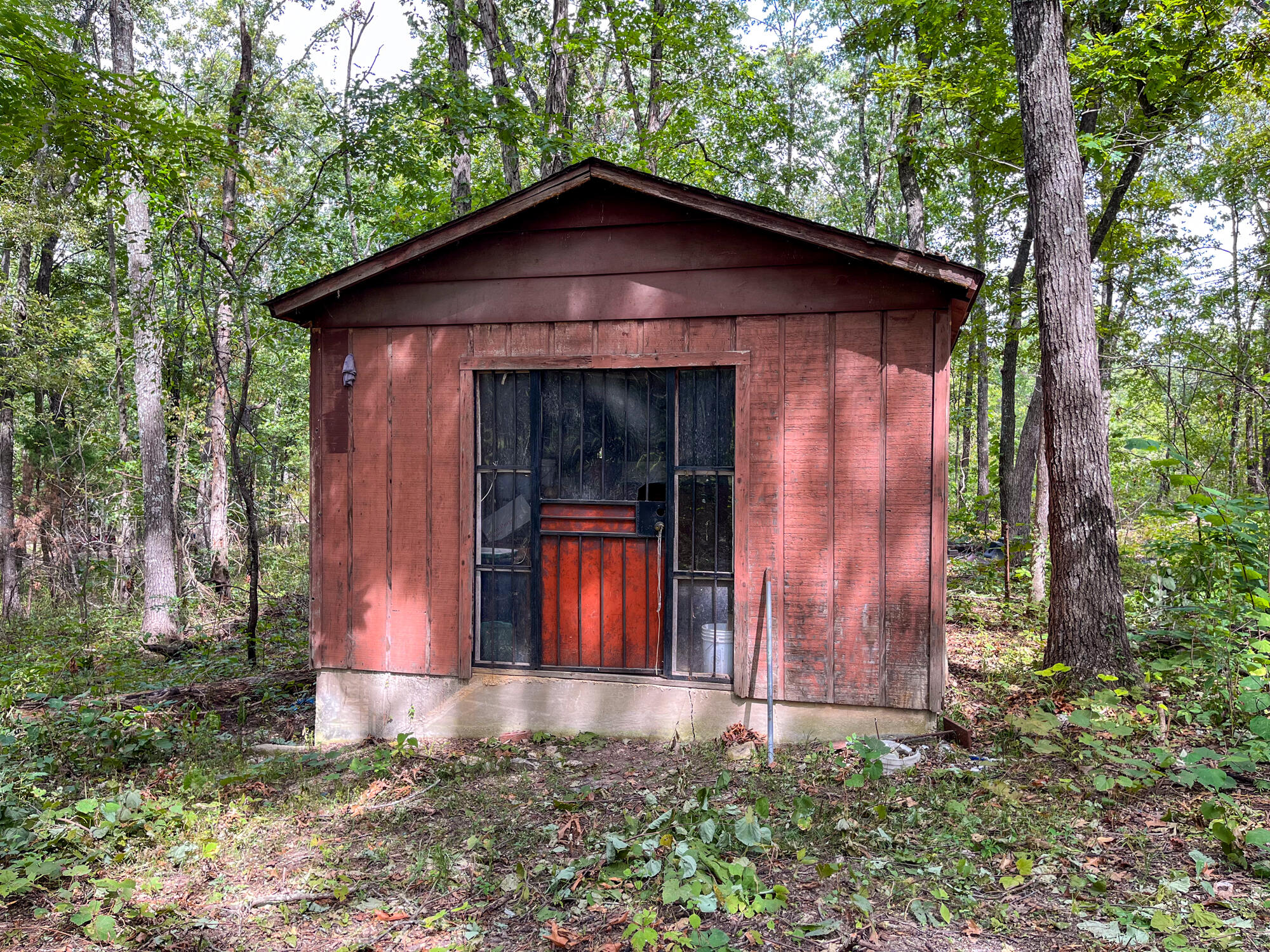 10140 County Road 6610 Property Photo 6