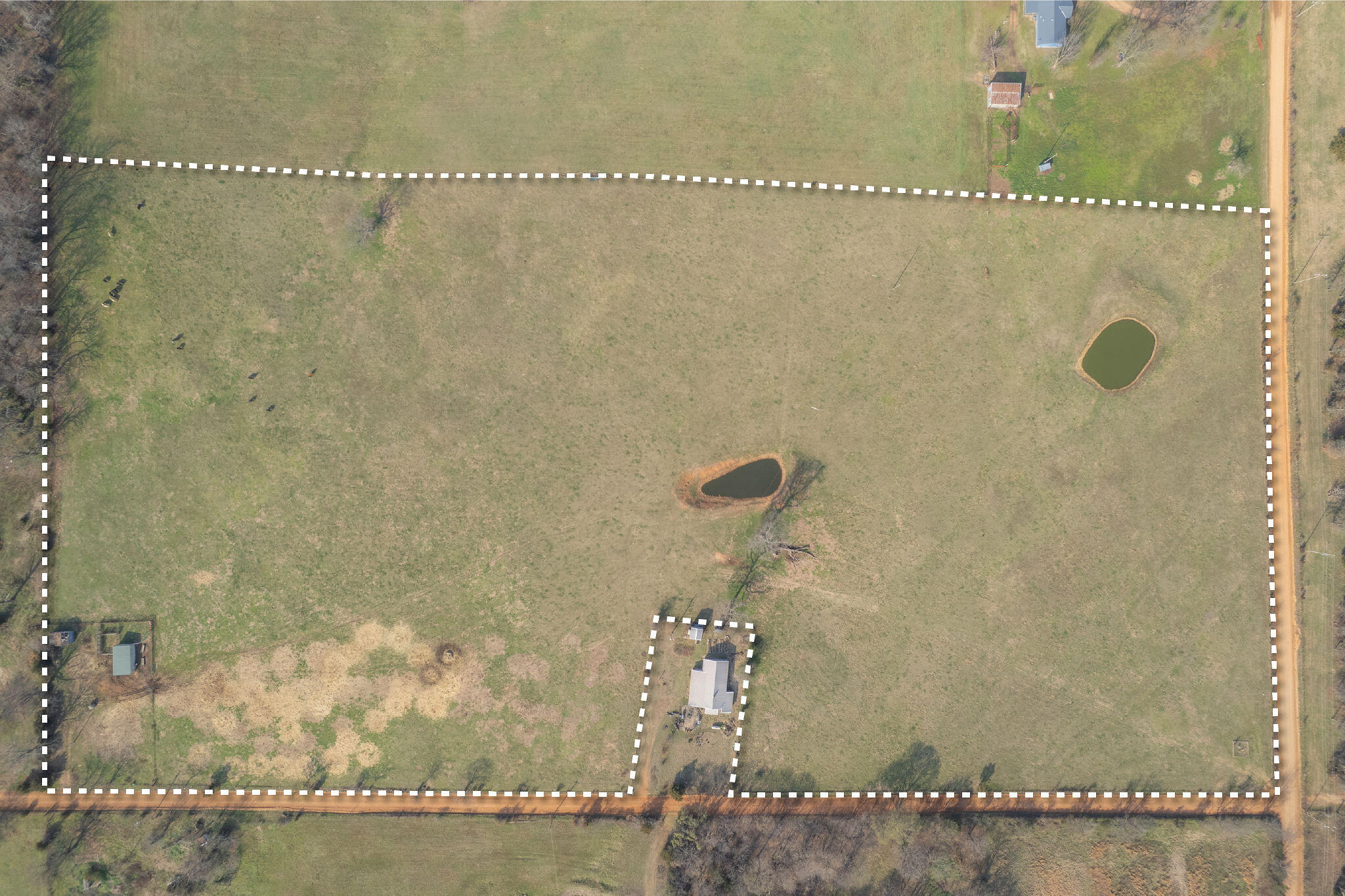 19+/- Acres Holly Road Property Photo 1