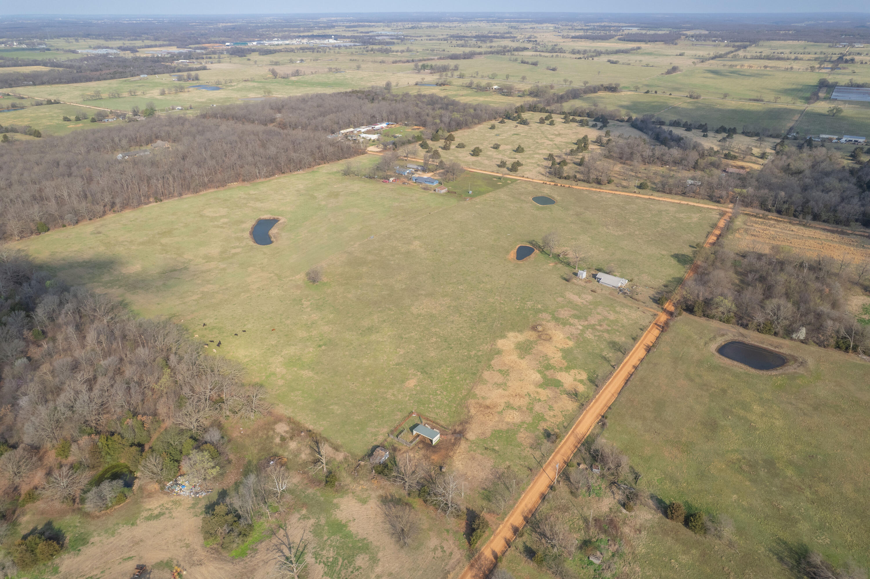 19+/- Acres Holly Road Property Photo 3
