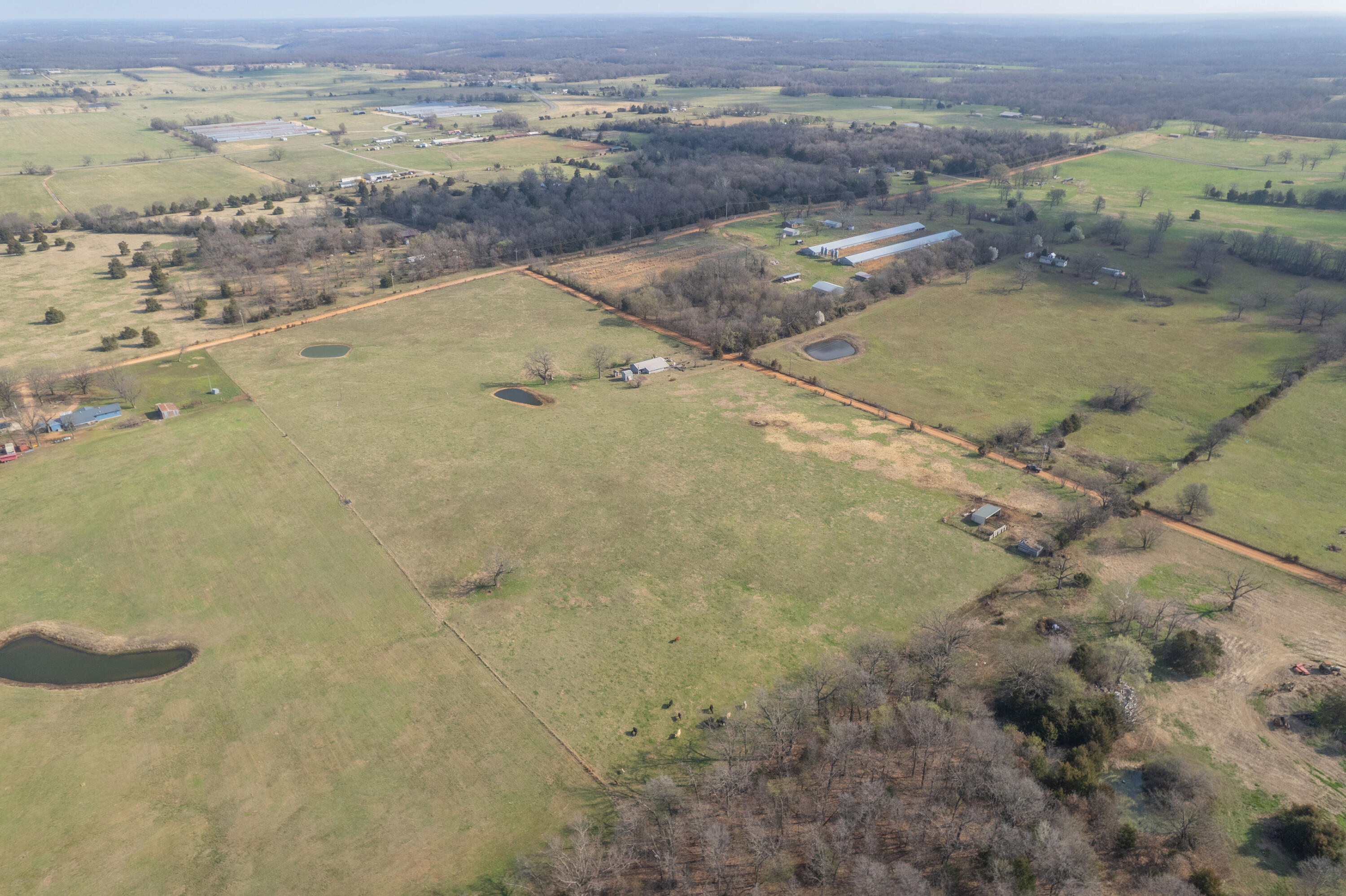 19+/- Acres Holly Road Property Photo 4