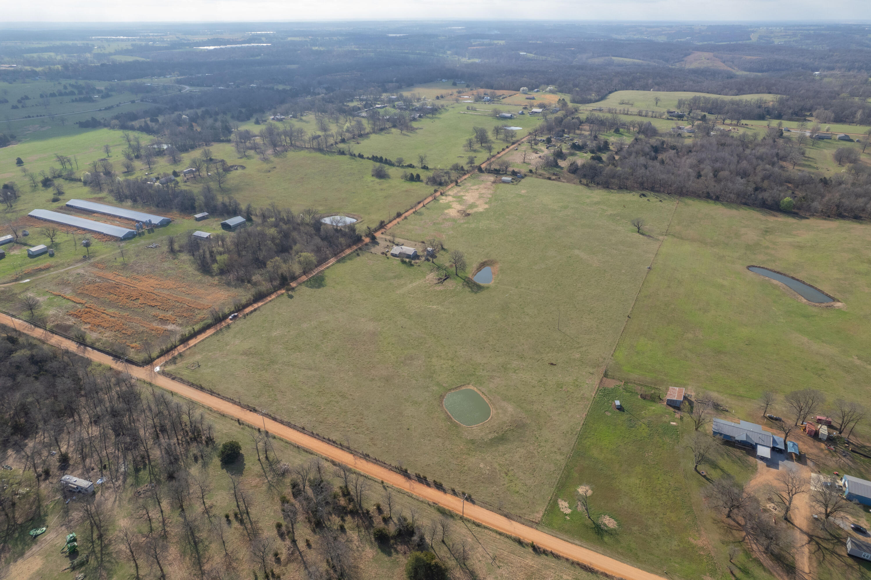 19+/- Acres Holly Road Property Photo 5