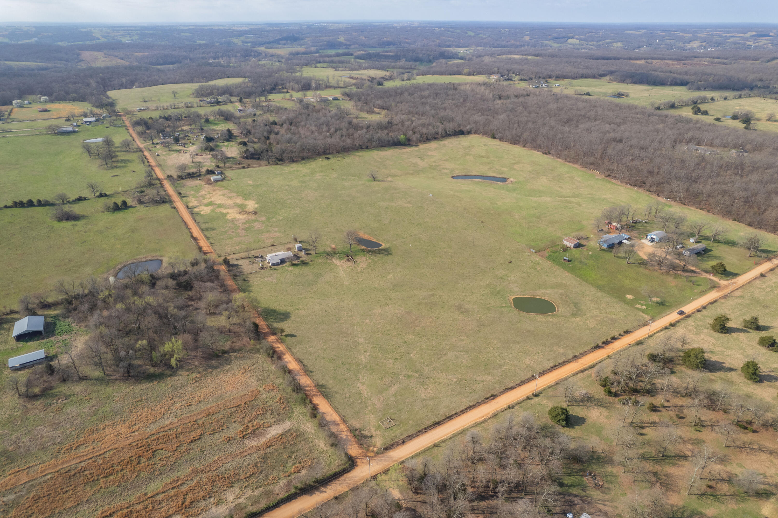 19+/- Acres Holly Road Property Photo 6