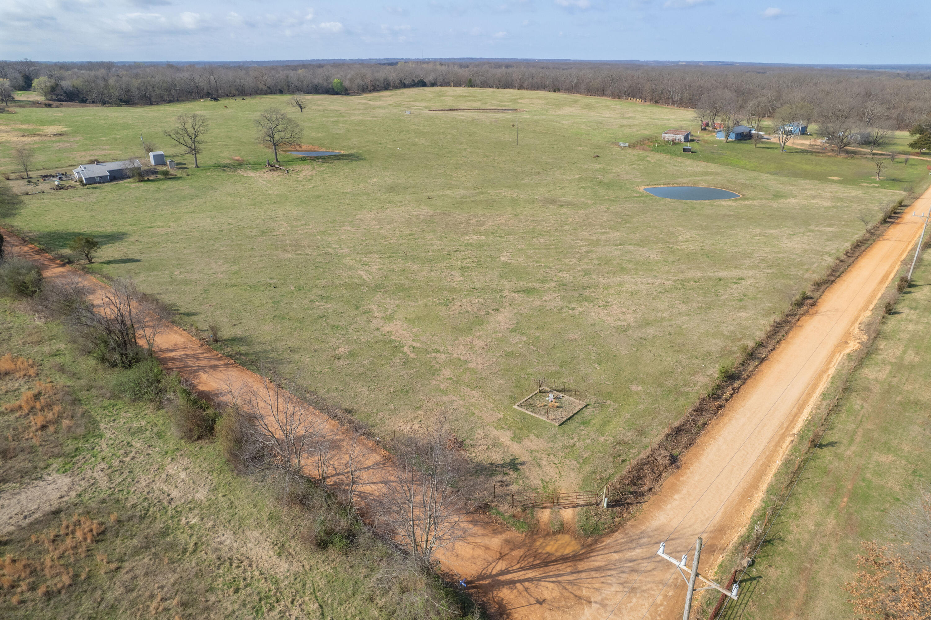 19+/- Acres Holly Road Property Photo 7