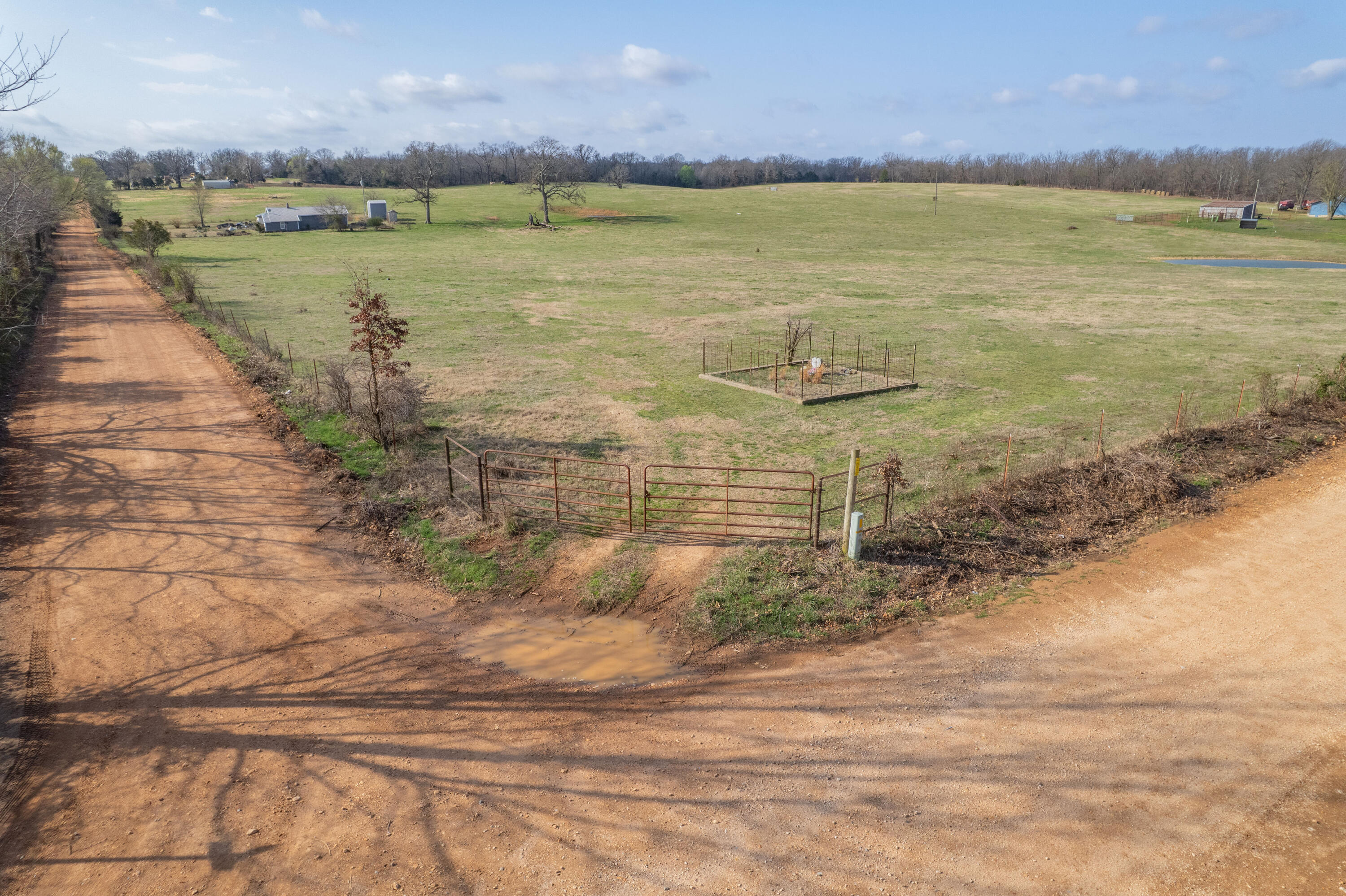19+/- Acres Holly Road Property Photo 8