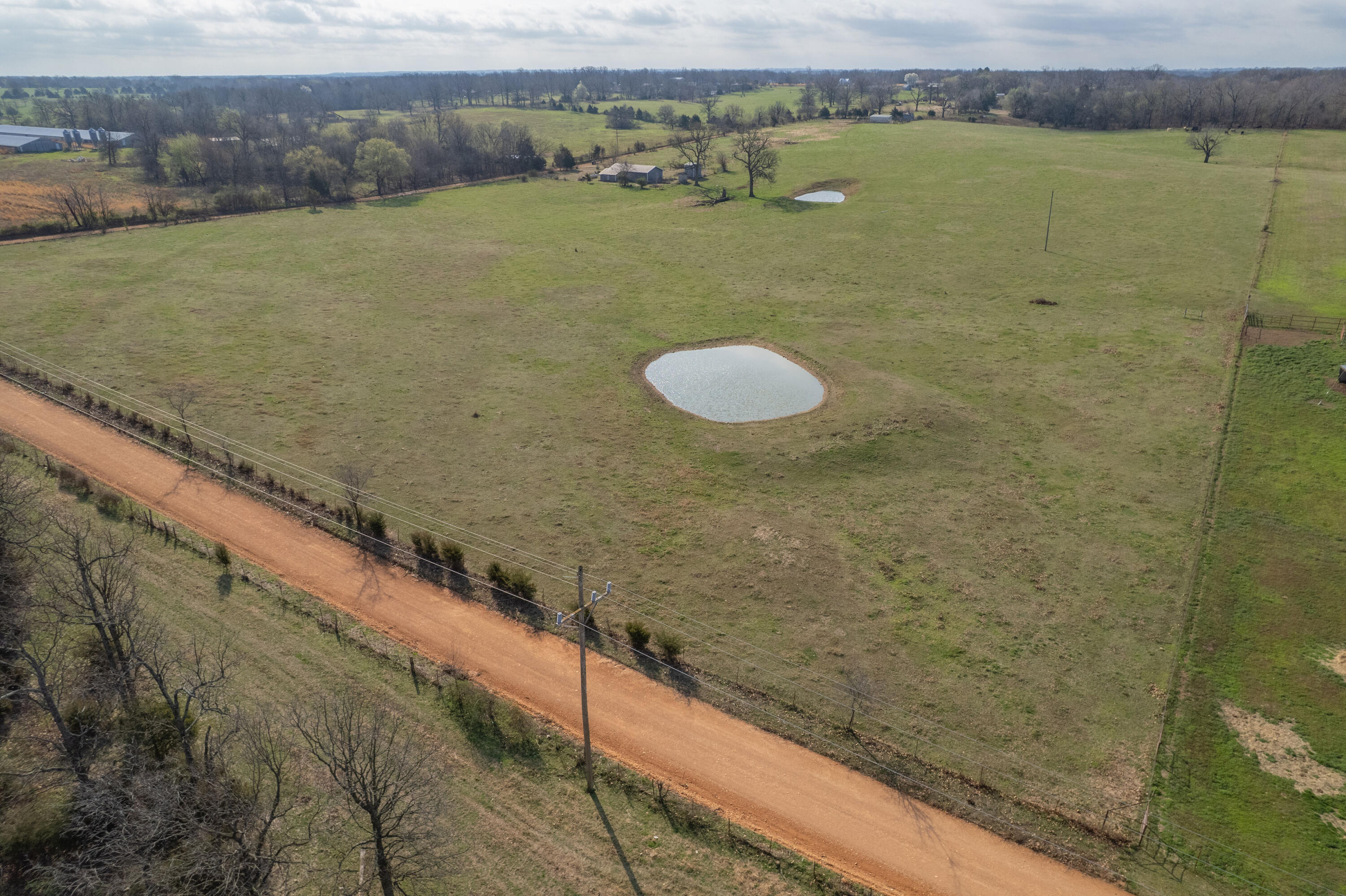 19+/- Acres Holly Road Property Photo 9