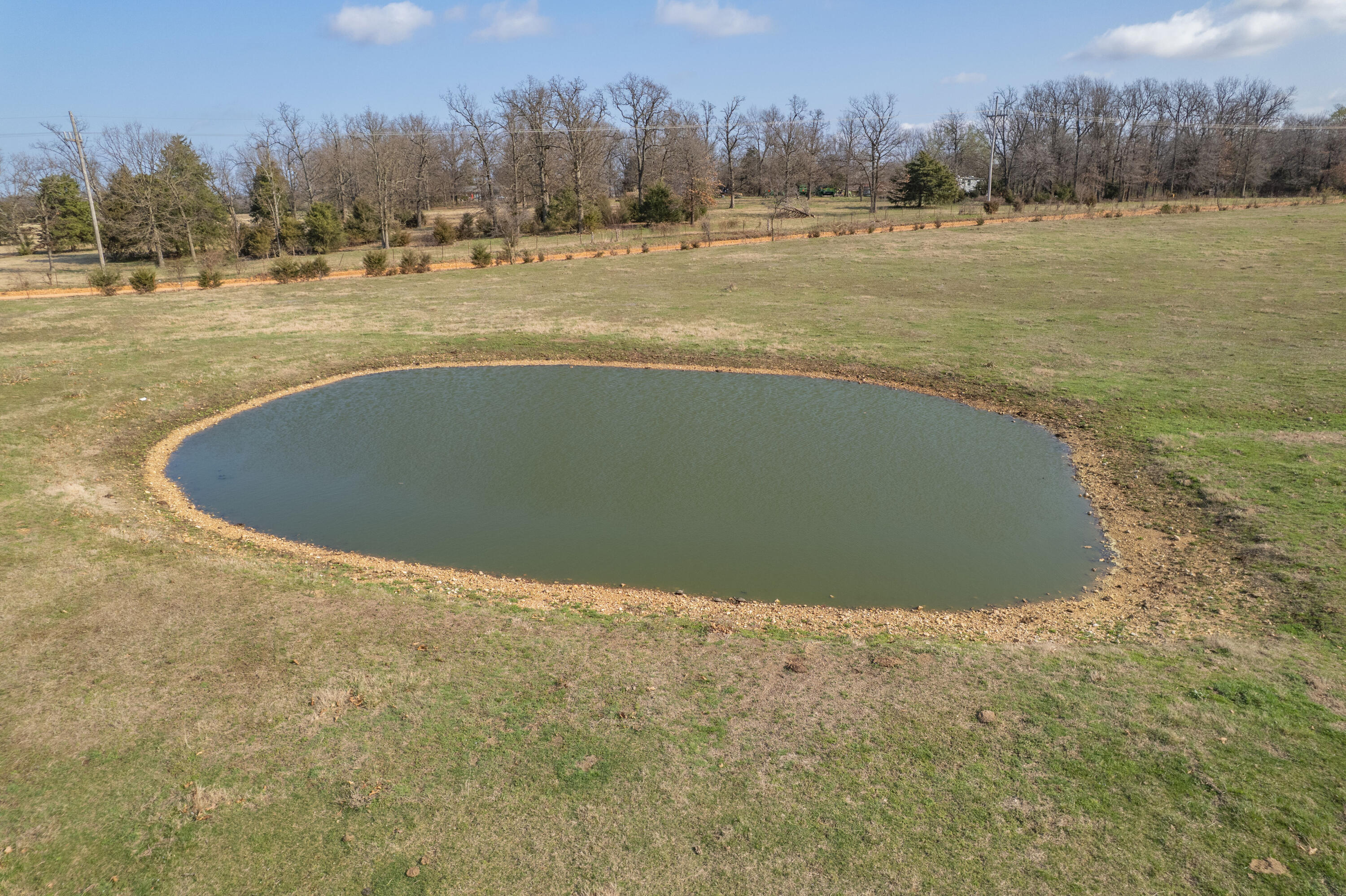 19+/- Acres Holly Road Property Photo 10