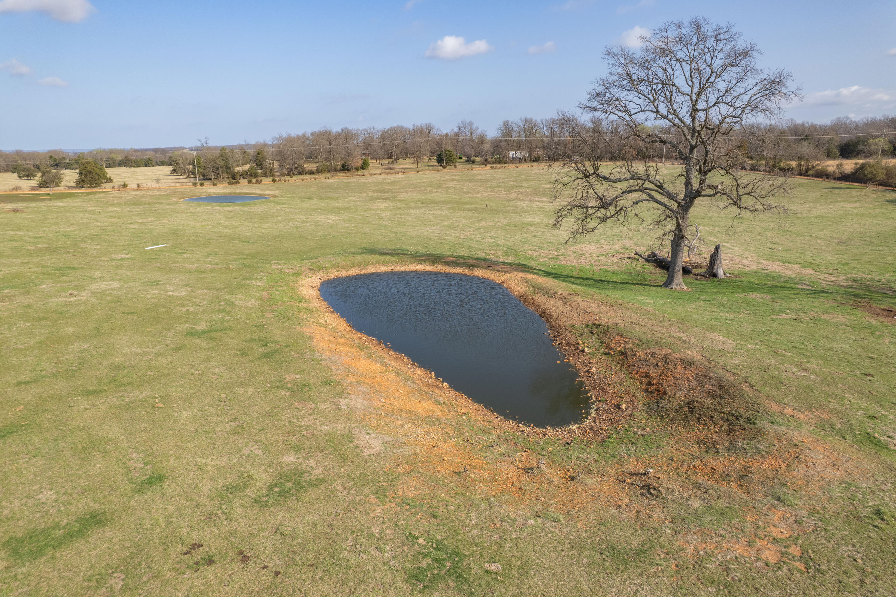 19+/- Acres Holly Road Property Photo 11