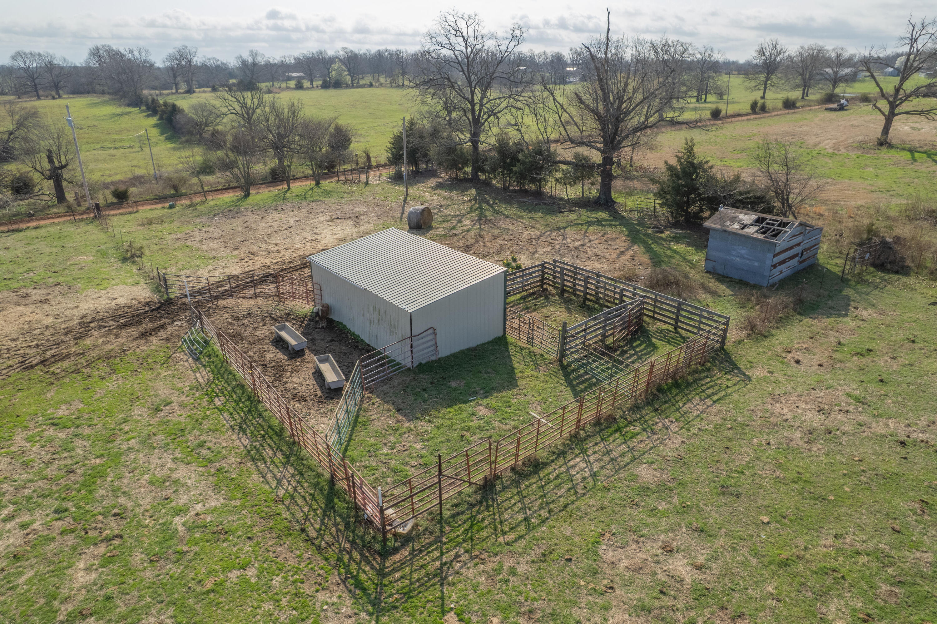 19+/- Acres Holly Road Property Photo 12