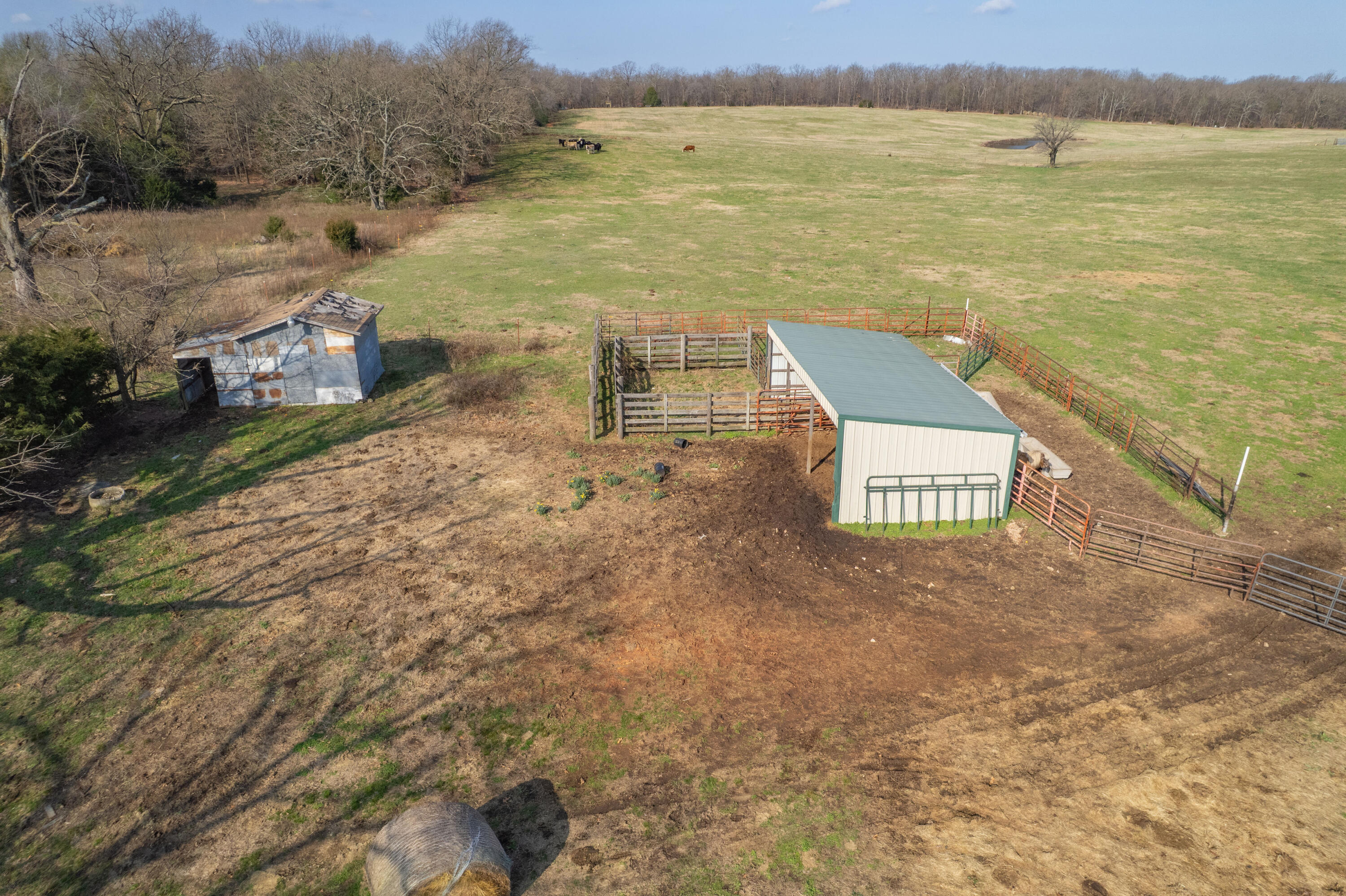 19+/- Acres Holly Road Property Photo 13