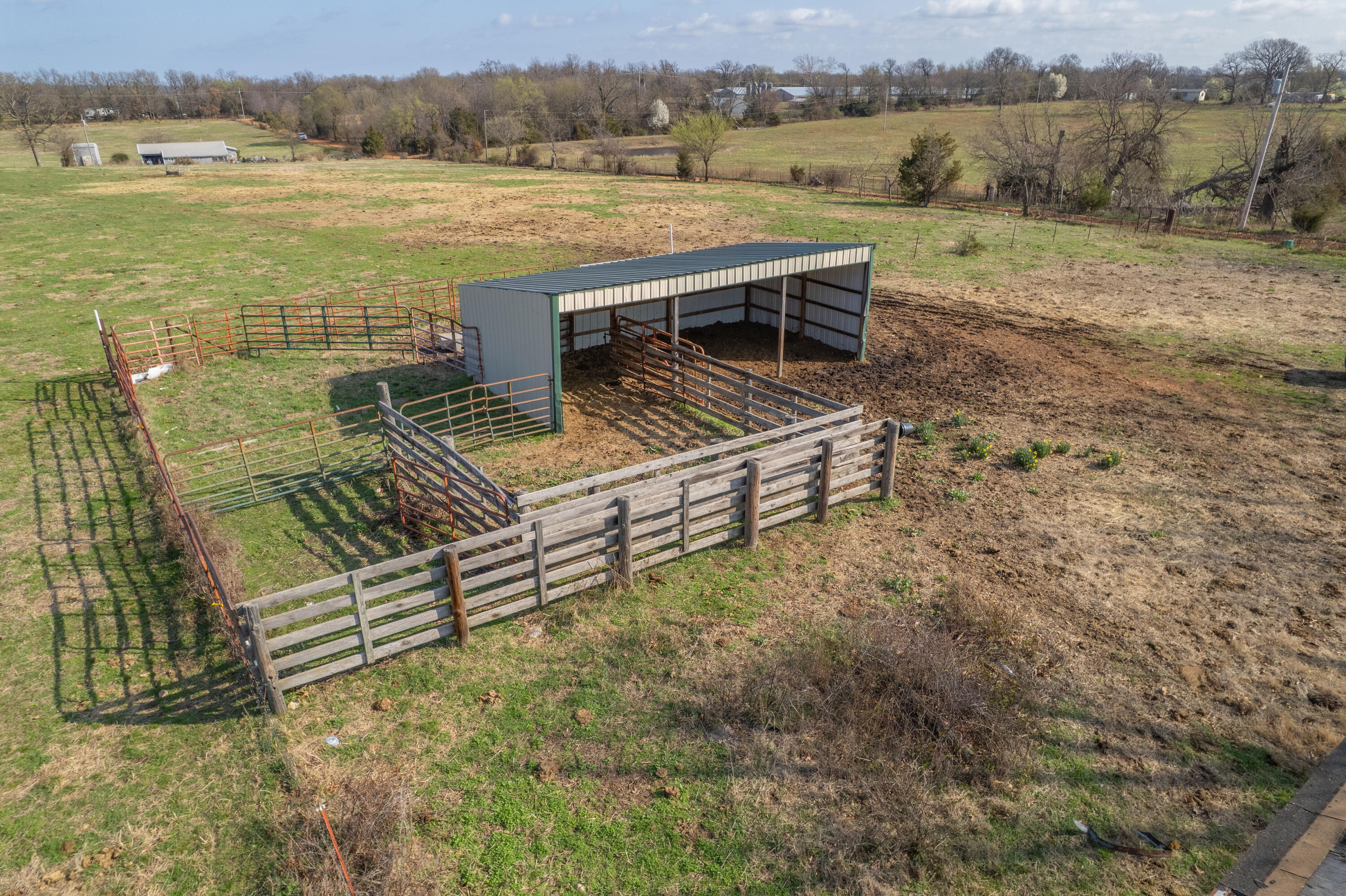 19+/- Acres Holly Road Property Photo 14