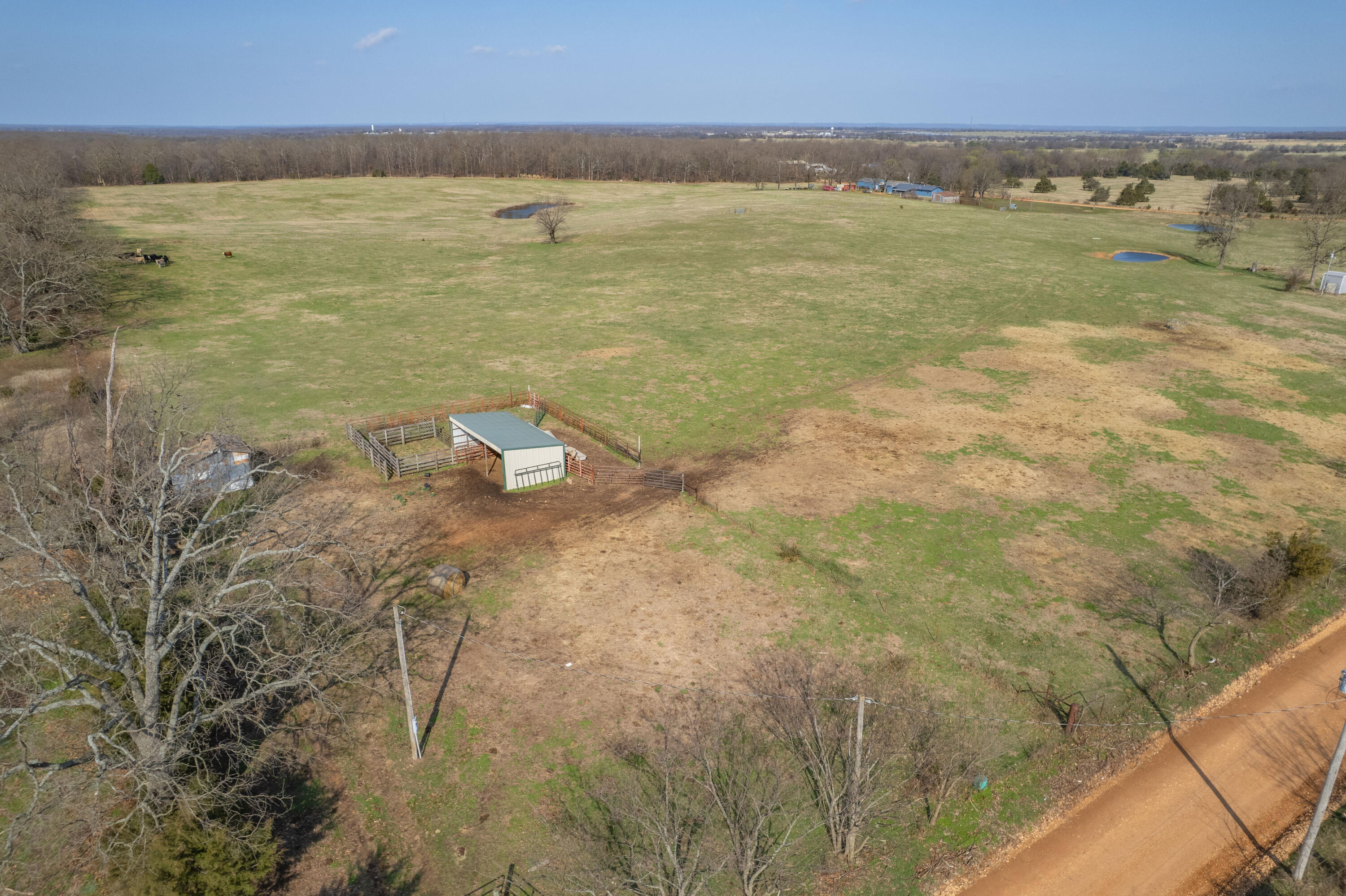 19+/- Acres Holly Road Property Photo 15