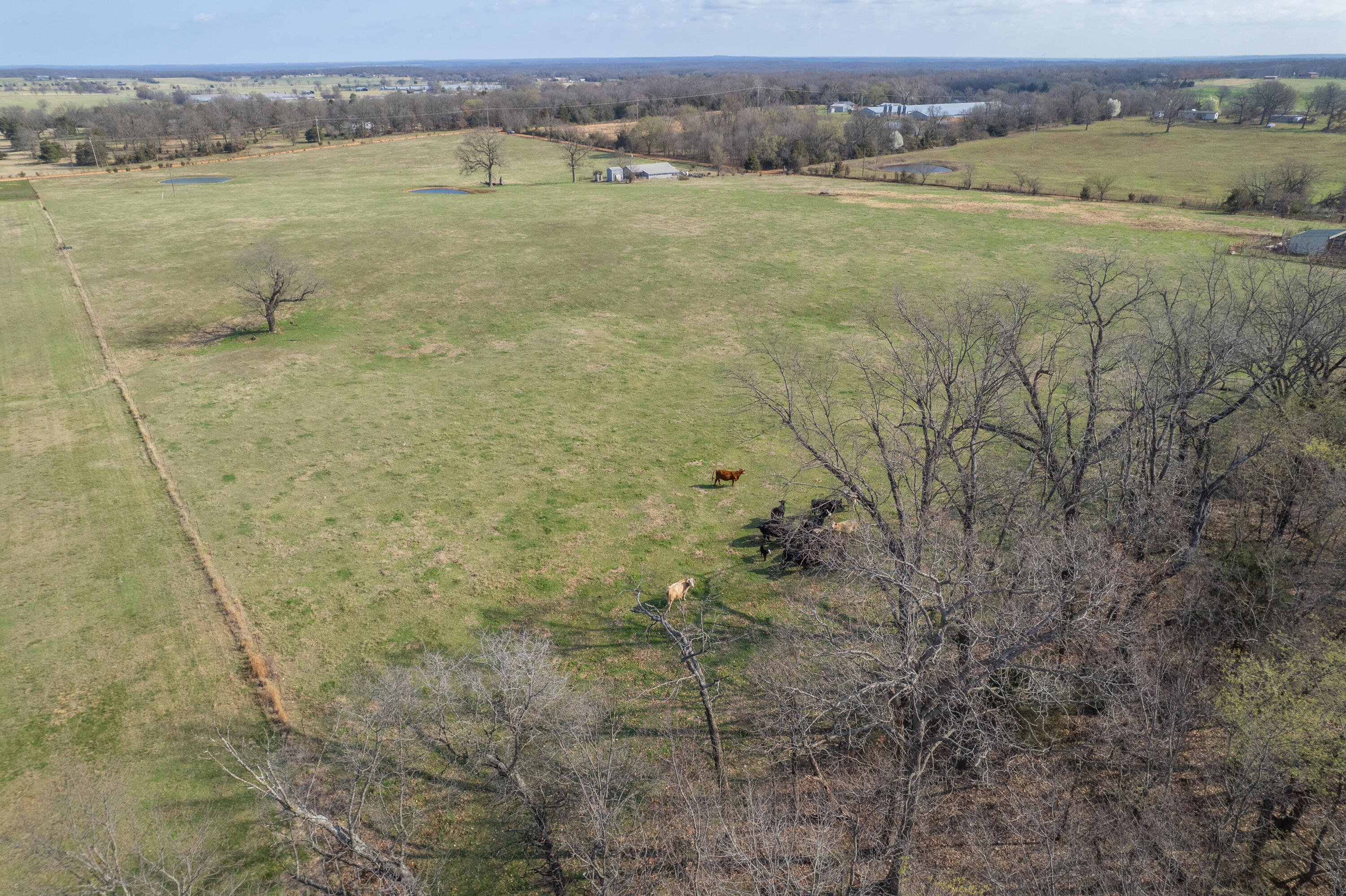 19+/- Acres Holly Road Property Photo 16