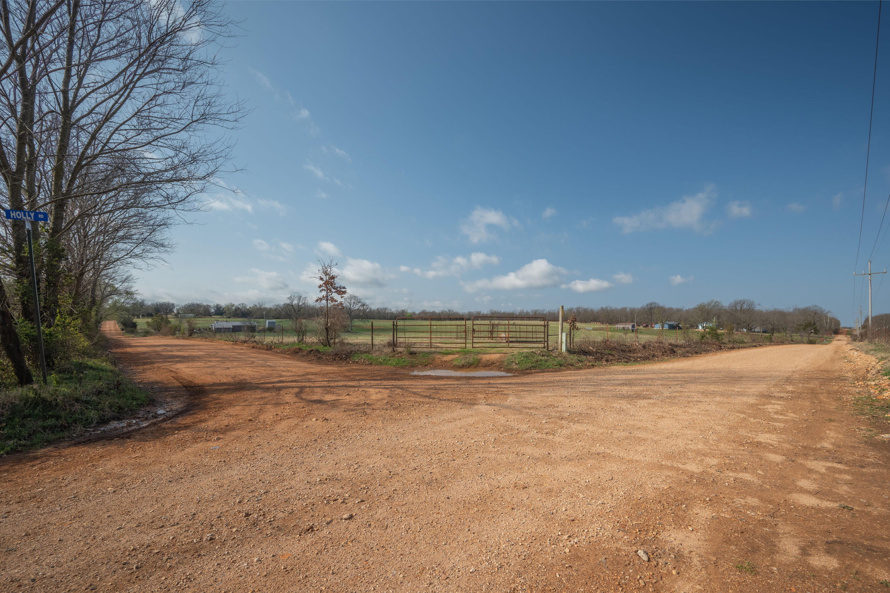 19+/- Acres Holly Road Property Photo 17
