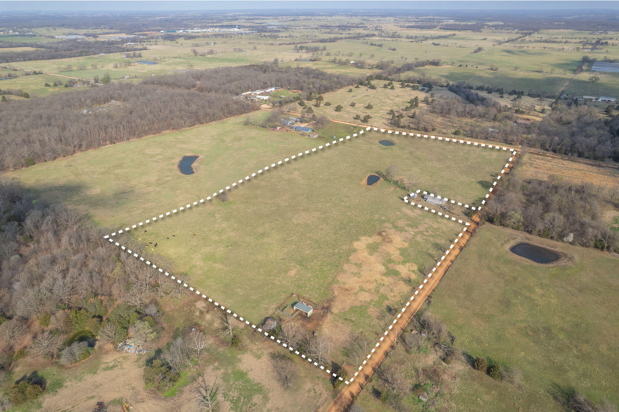19+/- Acres Holly Road Property Photo 18