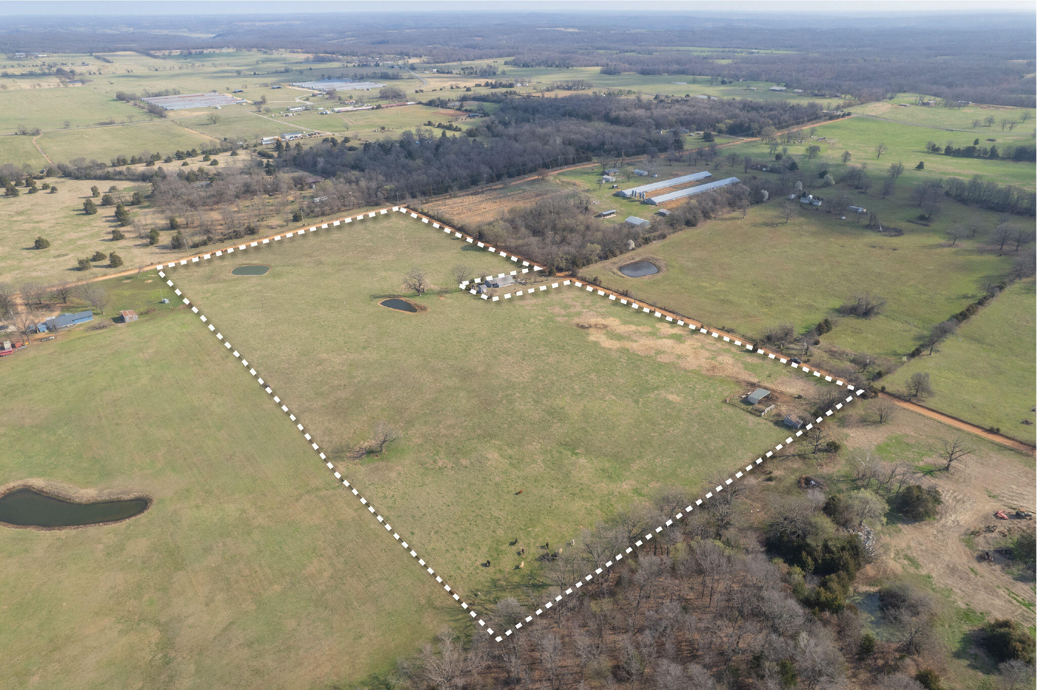 19+/- Acres Holly Road Property Photo 19