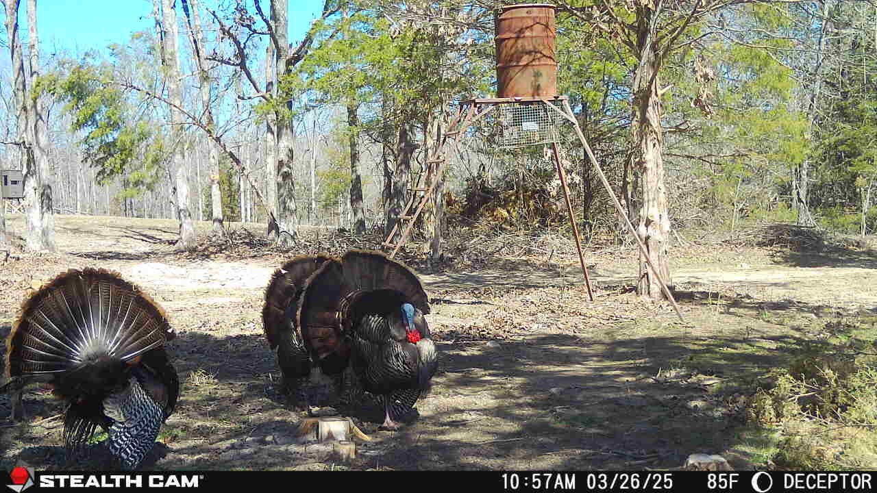 4991 Hwy Hh Property Photo 2