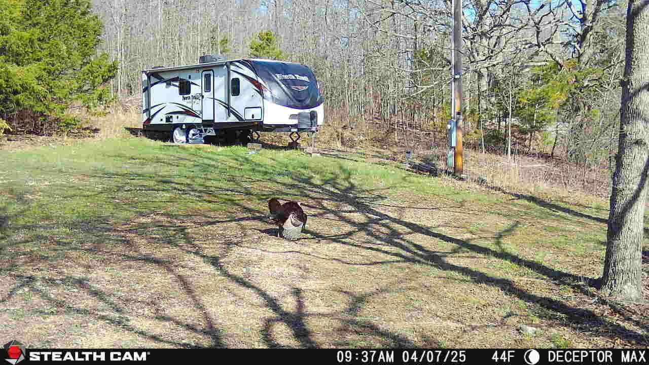4991 Hwy Hh Property Photo 3