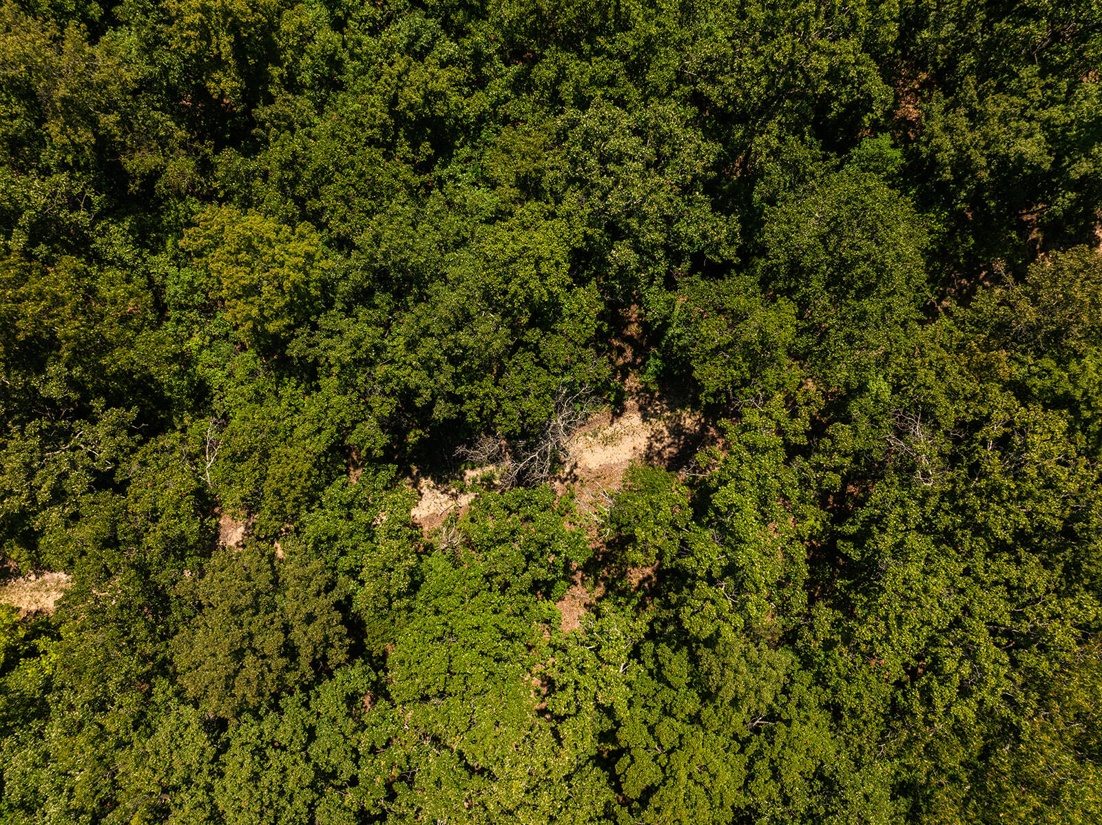 4991 Hwy Hh Property Photo 13