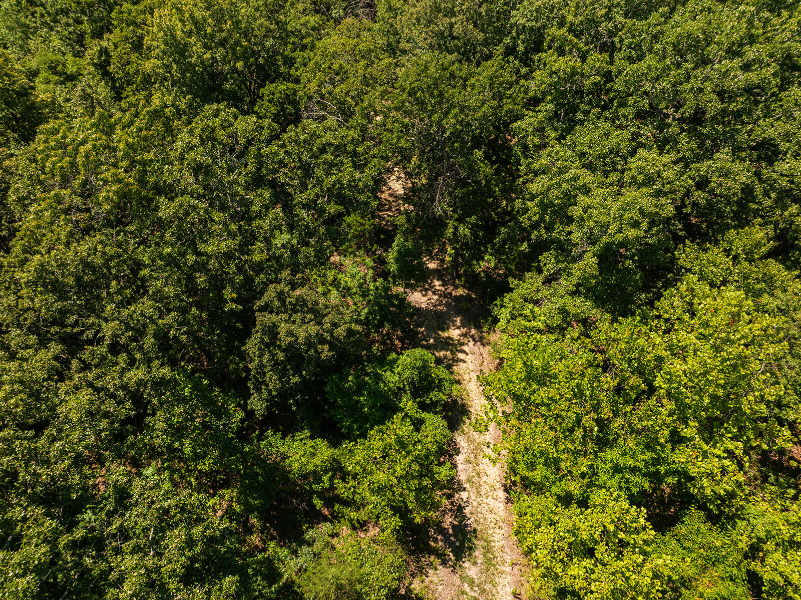 4991 Hwy Hh Property Photo 14