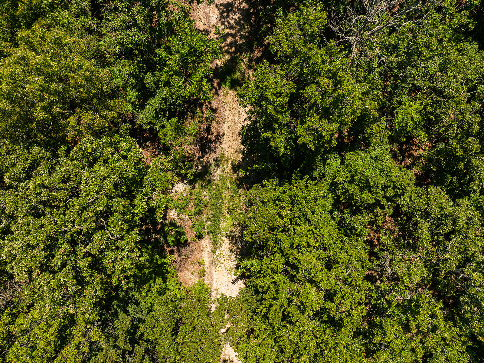 4991 Hwy Hh Property Photo 15