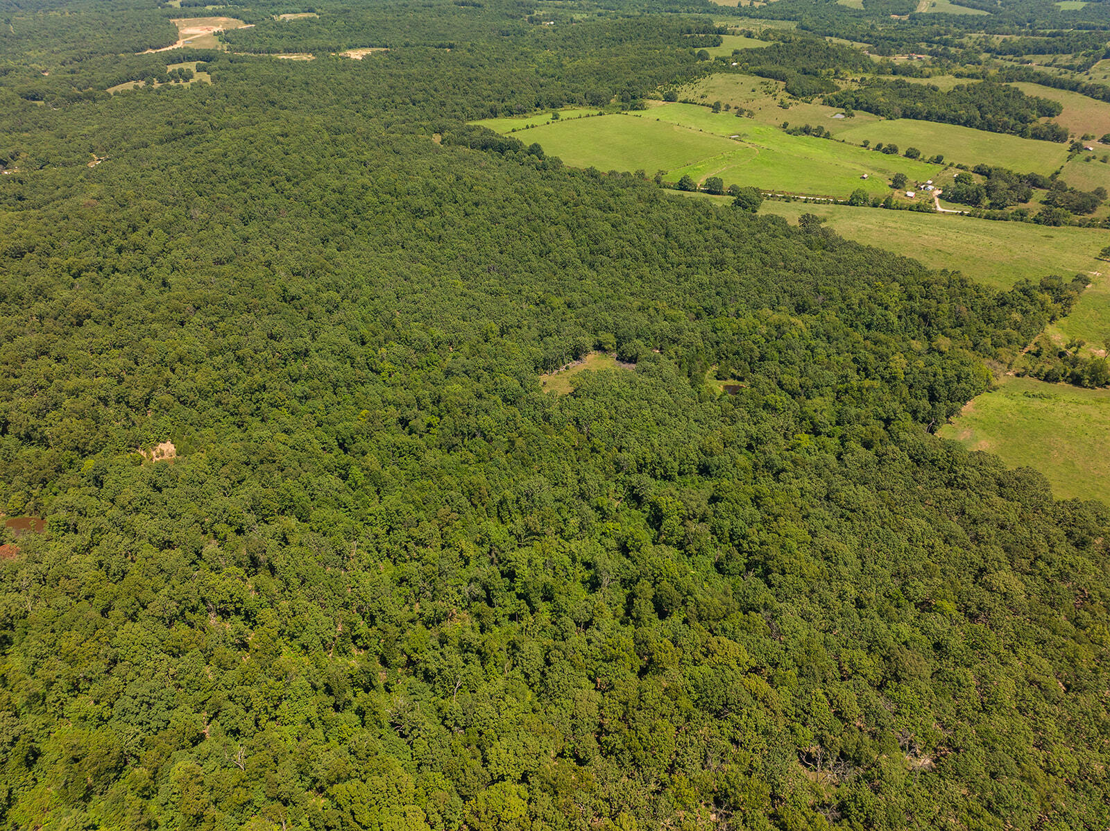 4991 Hwy Hh Property Photo 17